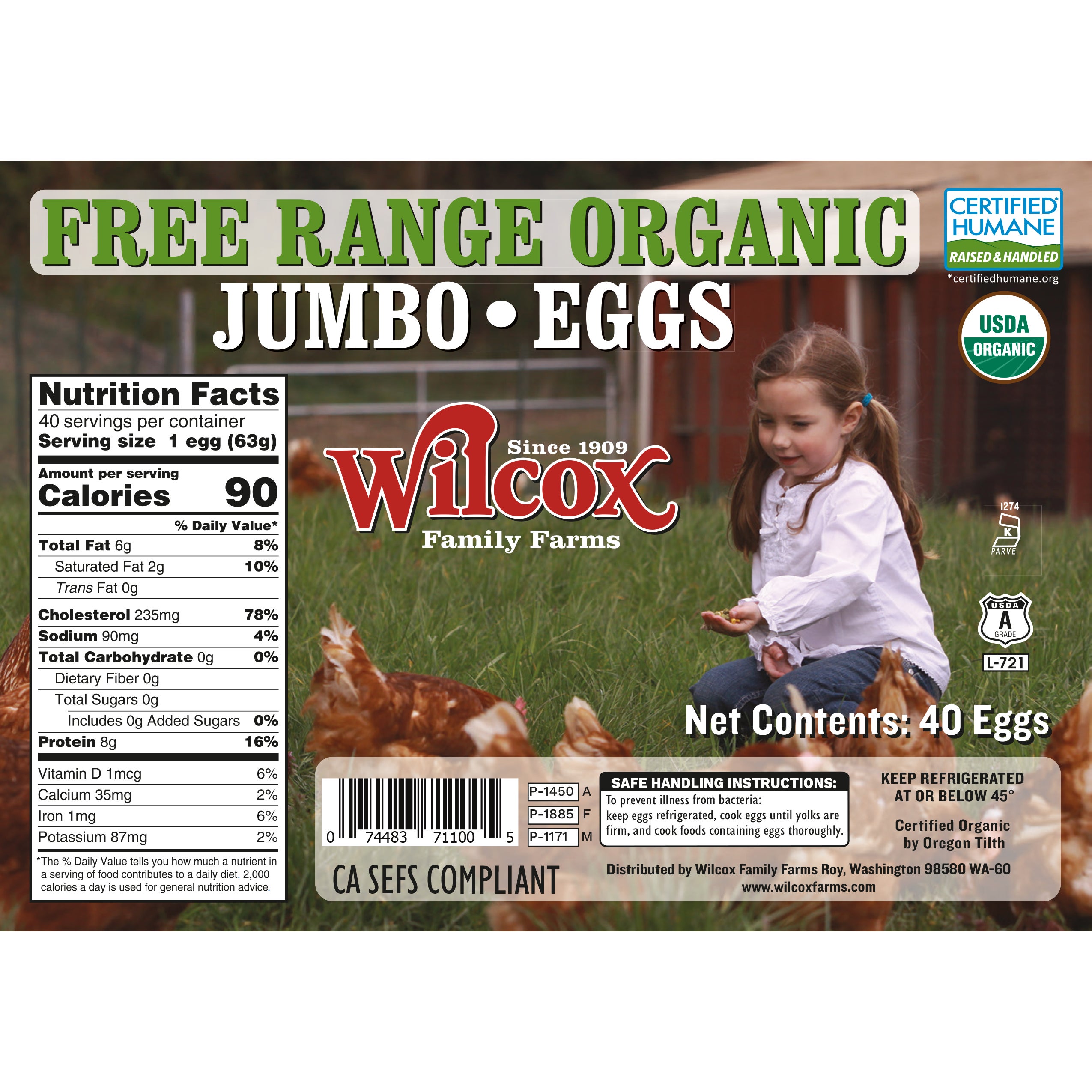 WILCOX ORGANIC JUMBO EGGS 40 CT