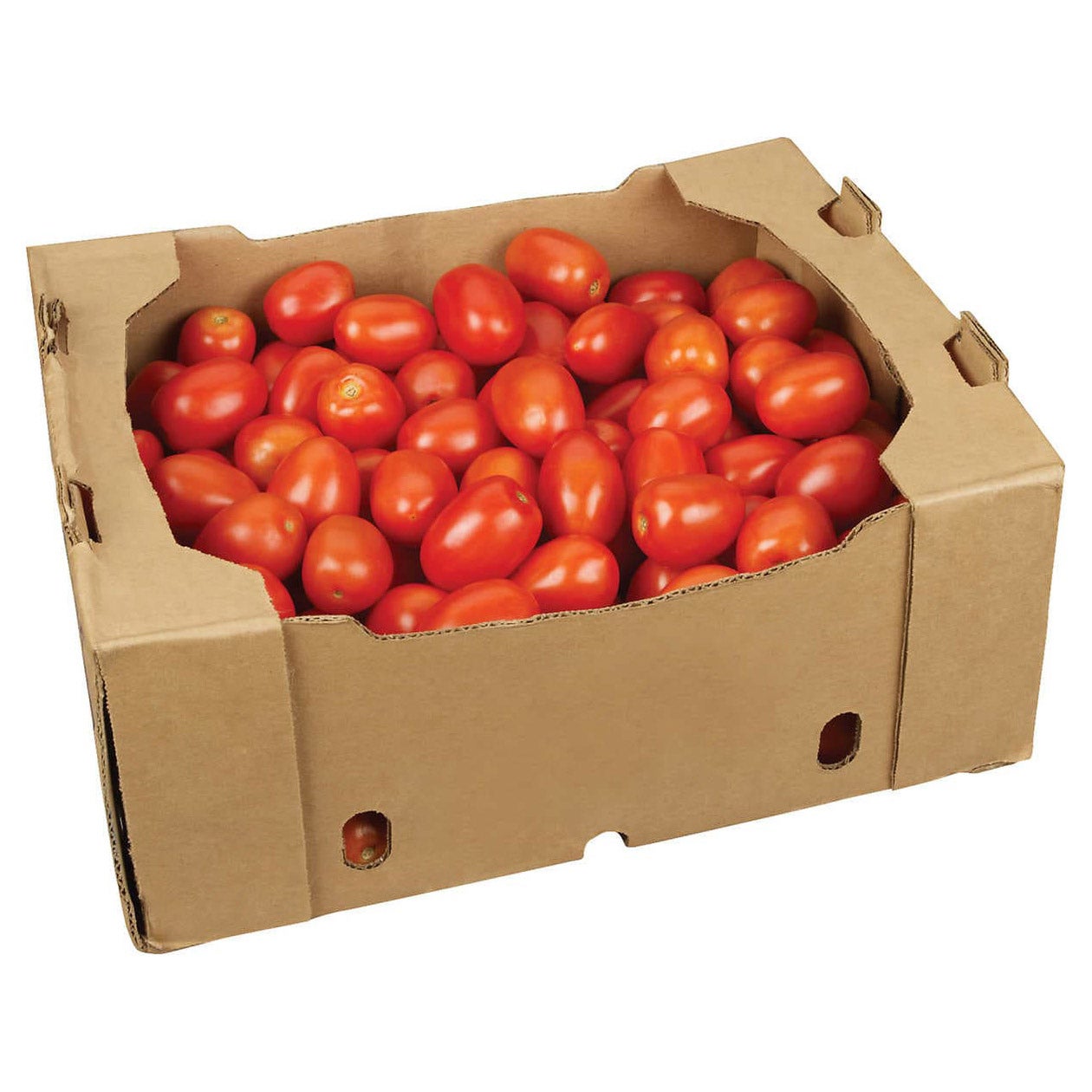 ROMA TOMATOES LOOSE FILL - MEDIUM 25 LBS
