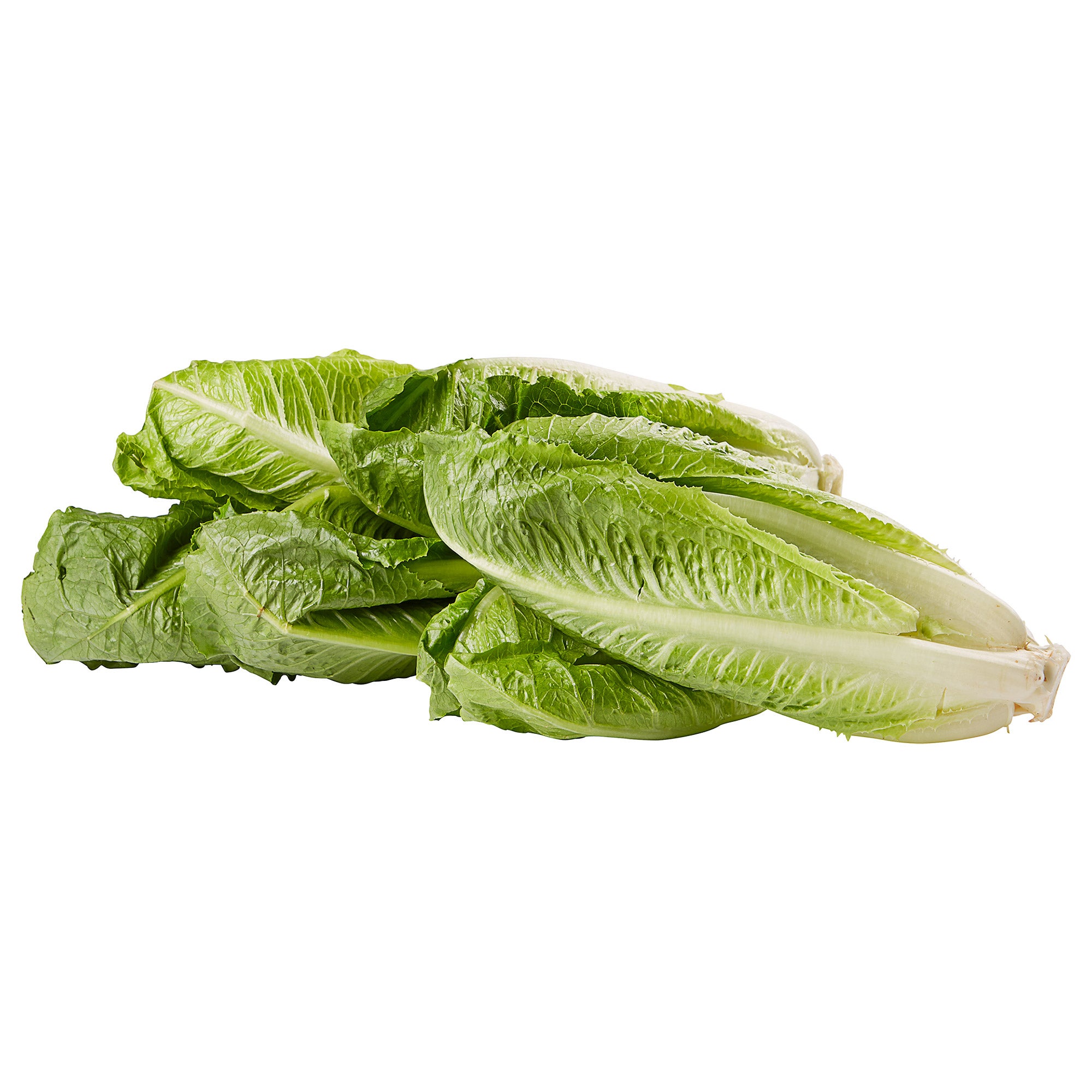 ORGANIC ROMAINE HEARTS 6 COUNT