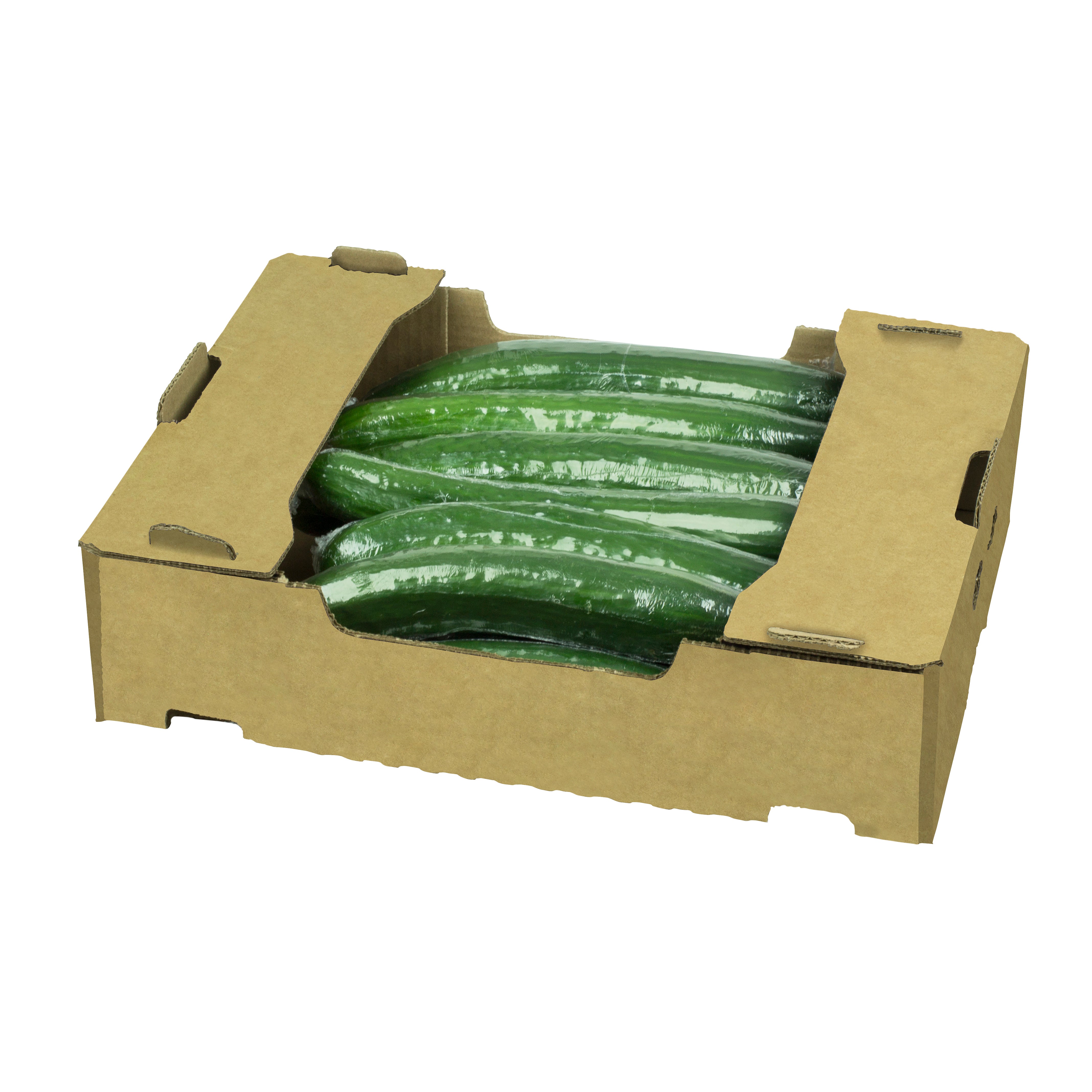 ENGLISH CUCUMBER 12 CT FULL CASE