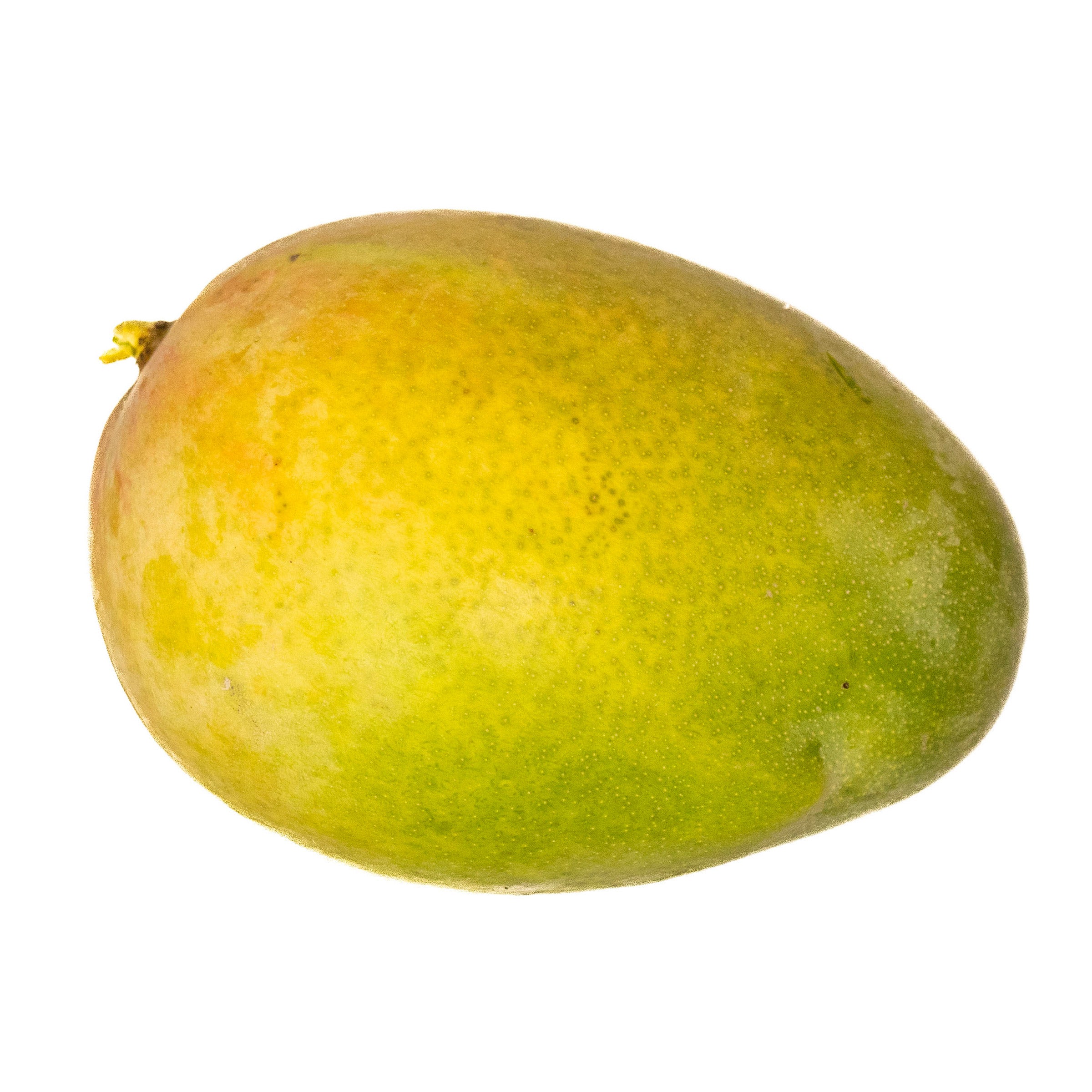 ORGANIC JUMBO MANGOS 4 COUNT 5.5 LBS - Image 1
