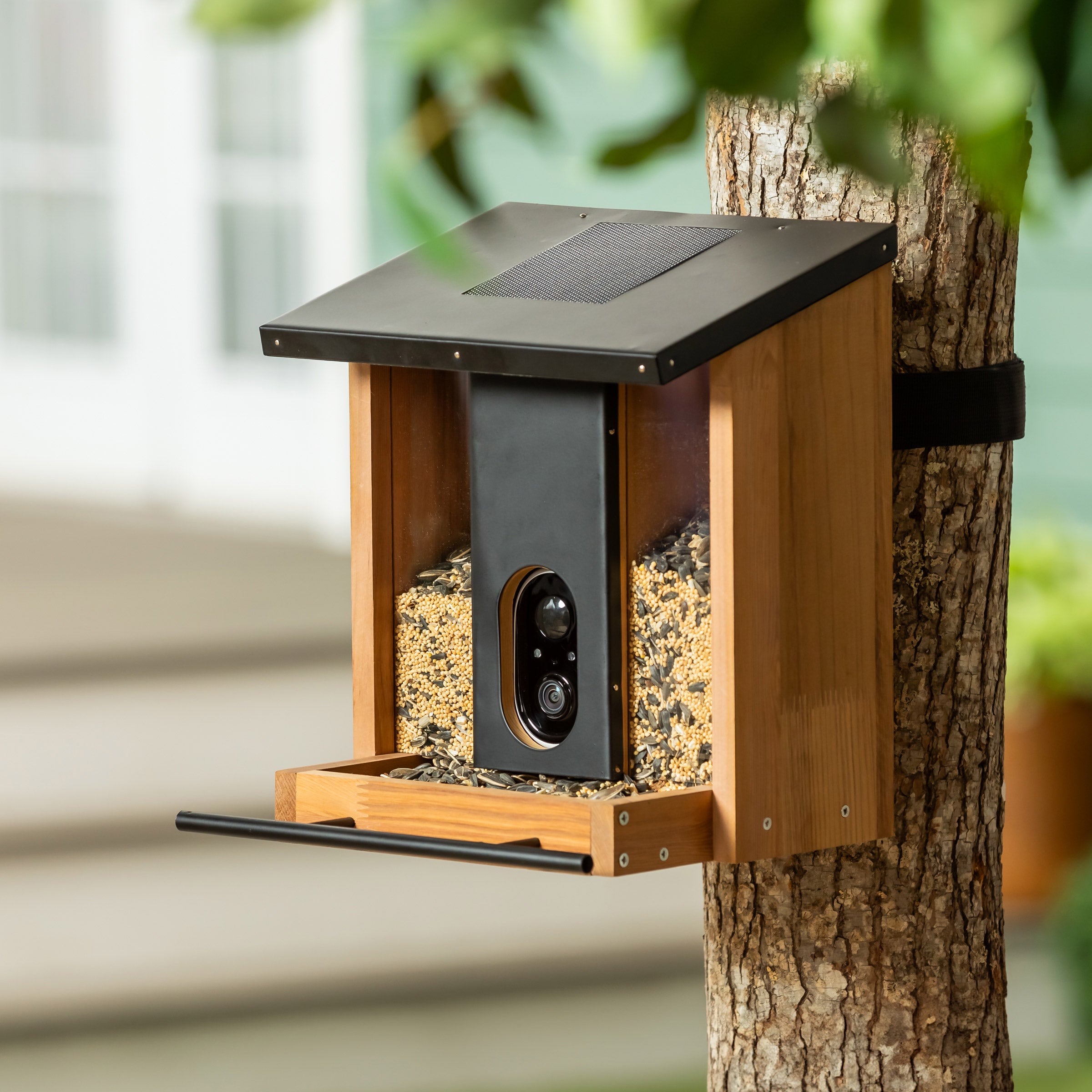 SOLAR SMART BIRD FEEDER