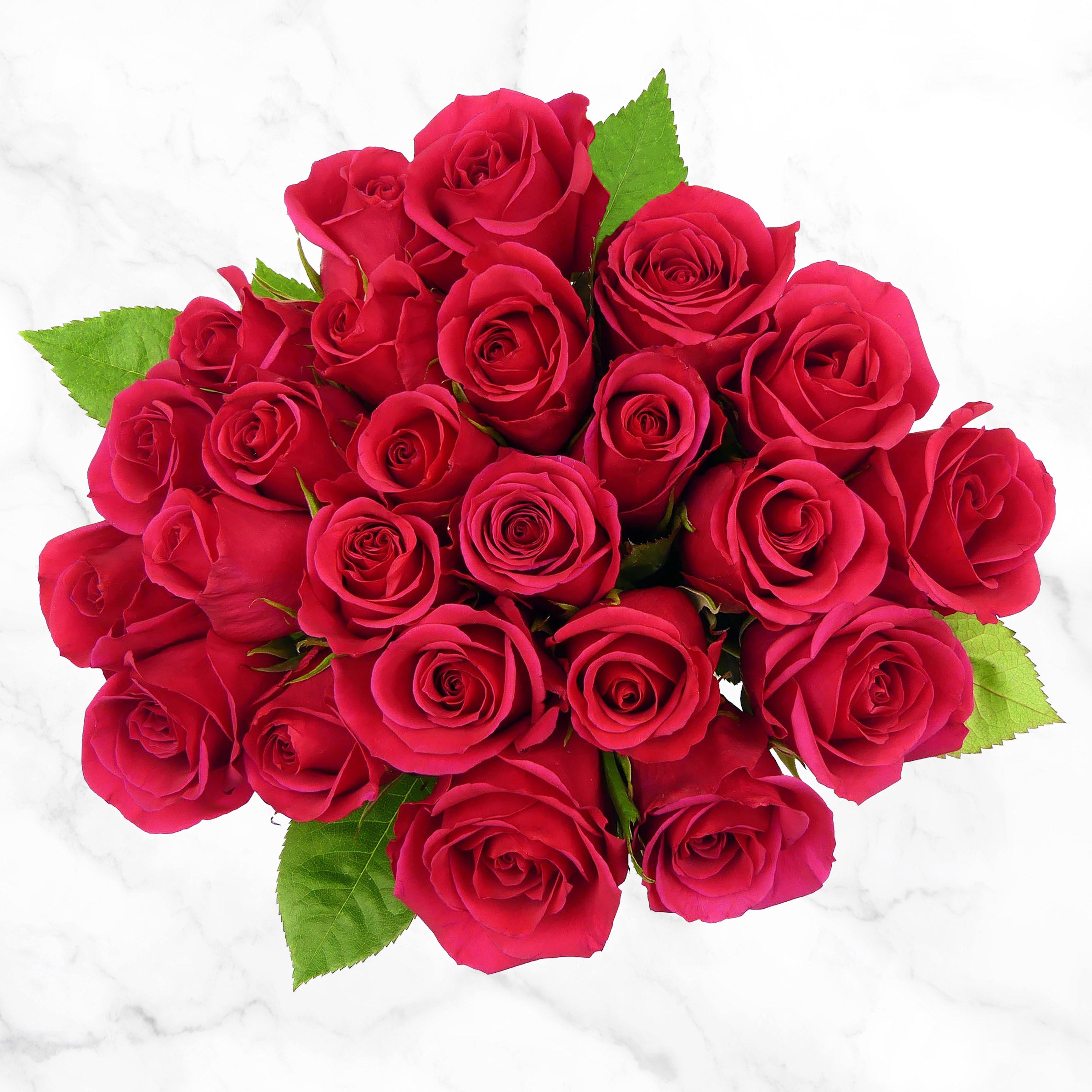 2 DOZEN PREMIUM ROSES - Image 1