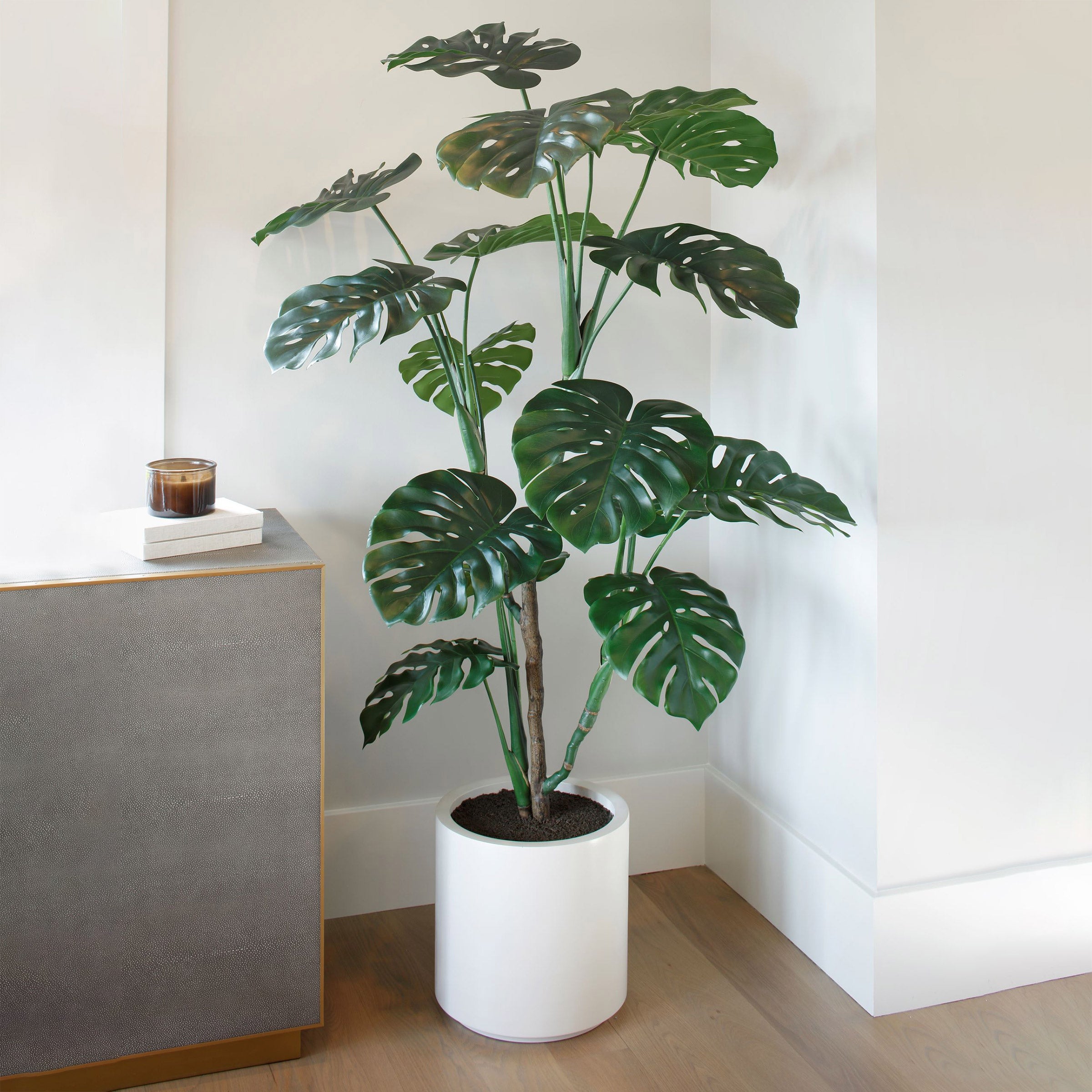 C.G. HUNTER FAUX 5.5' MONSTERA PLANT - Image 1