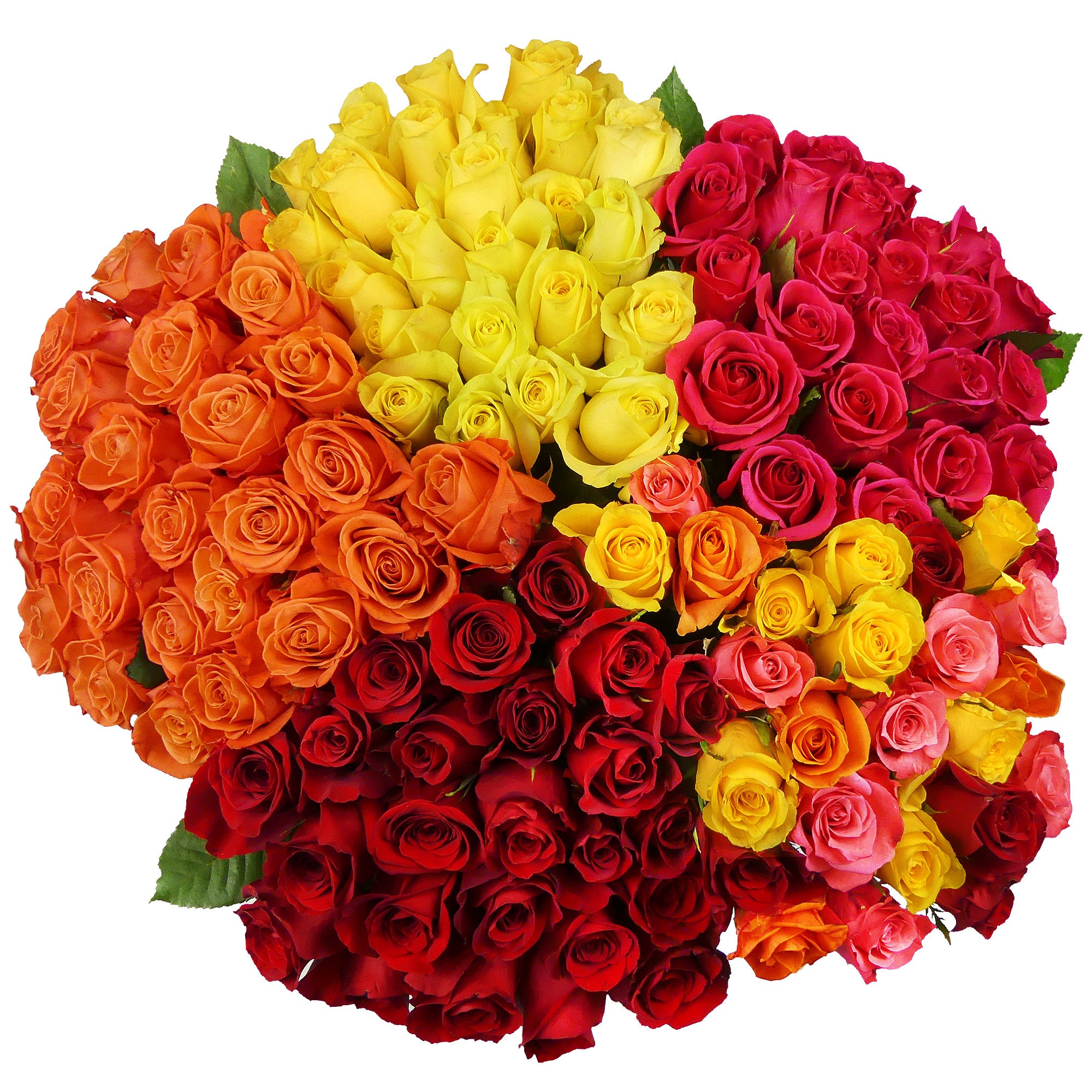 24 COUNT PREMIUM ROSES RAINFOREST ALLIANCE CERTIFIED