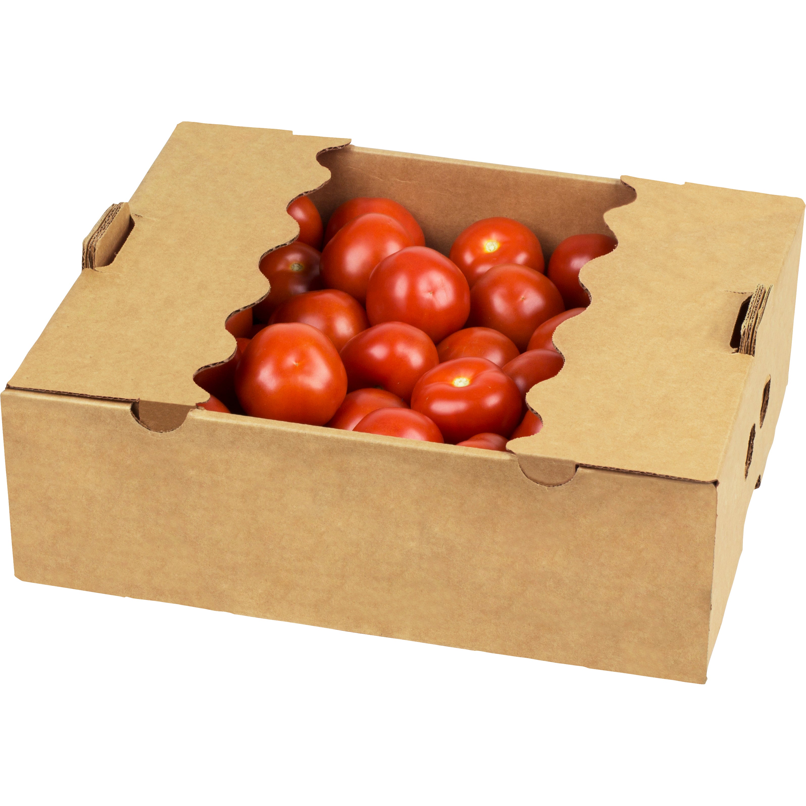 SALAD TOMATOES 15 LB