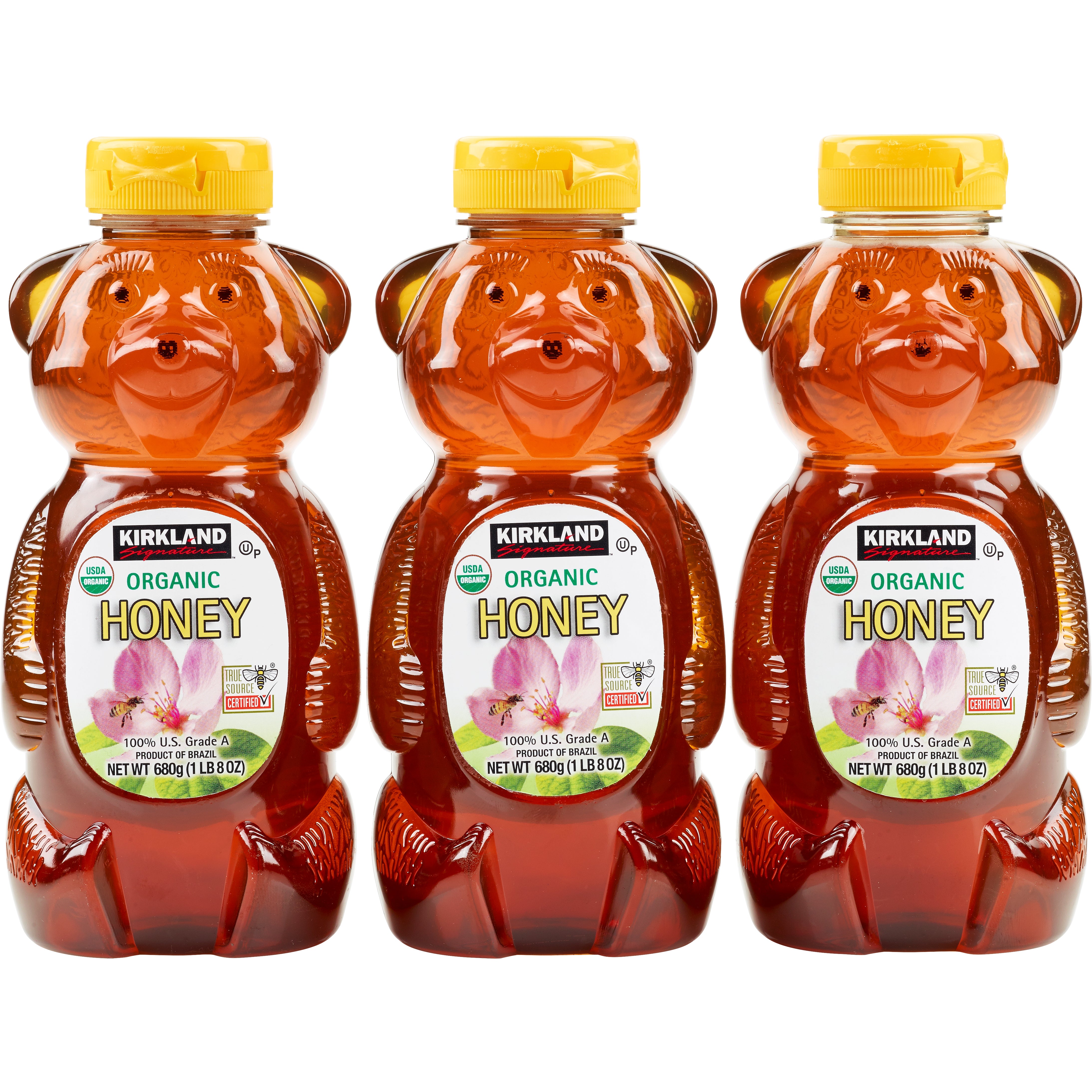 KIRKLAND SIGNATURE ORGANIC HONEY BEARS 3/1.5 LB
