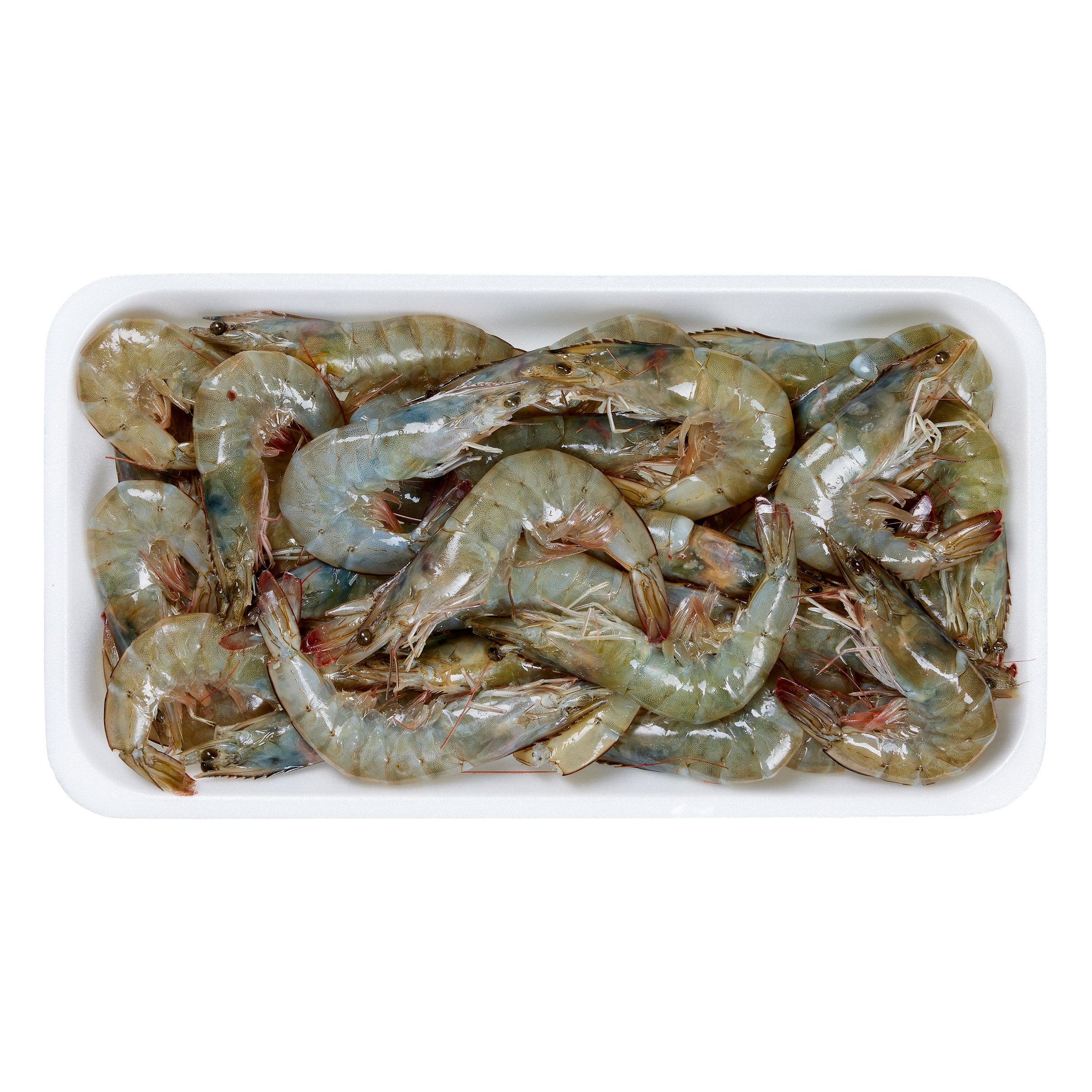 WHOLE HEAD ON FARMED WHITE SHRIMP 9/14 CT PER LB.