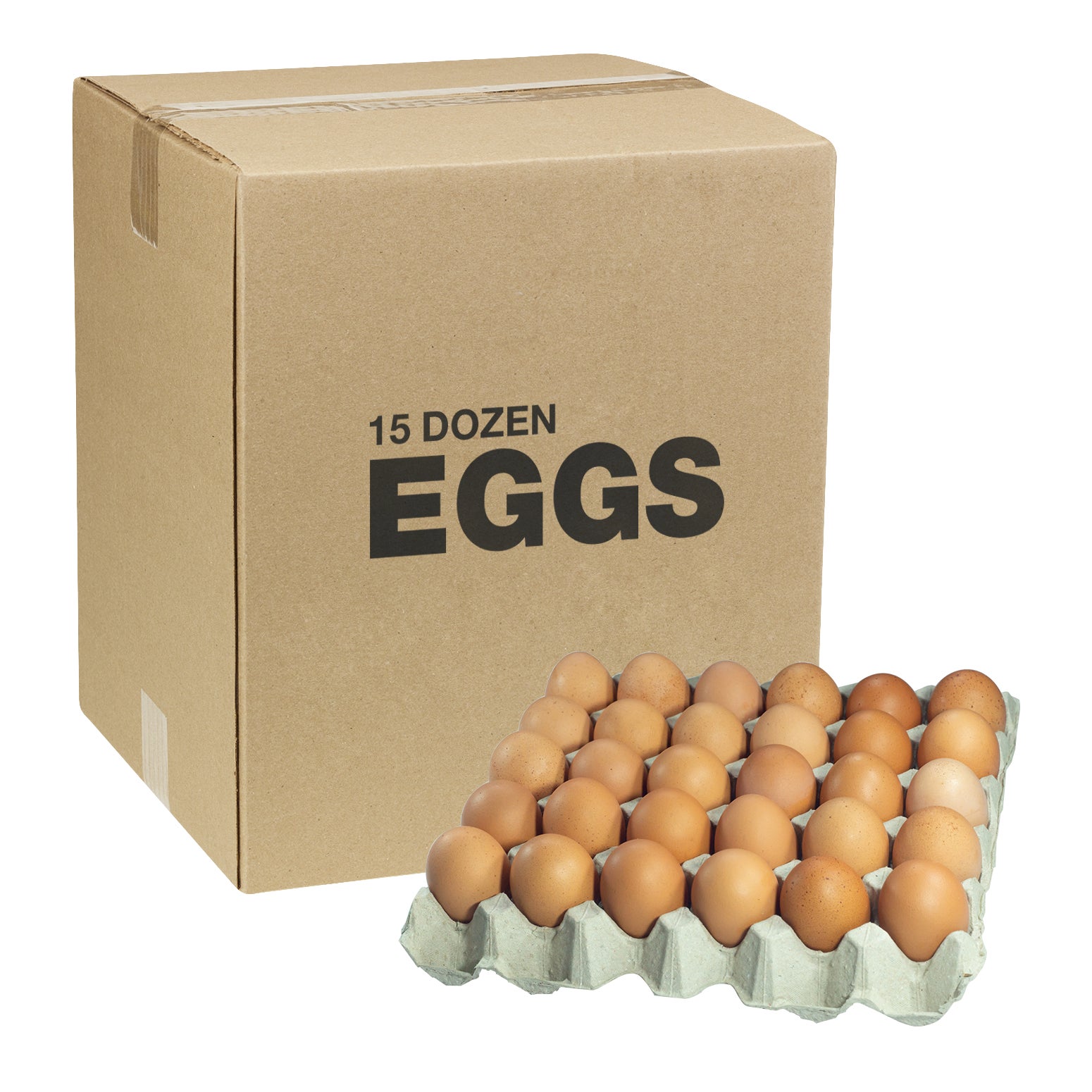 USDA GRADE AA FREE RANGE BROWN LARGE LOOSE 180 CT (15 DZ)