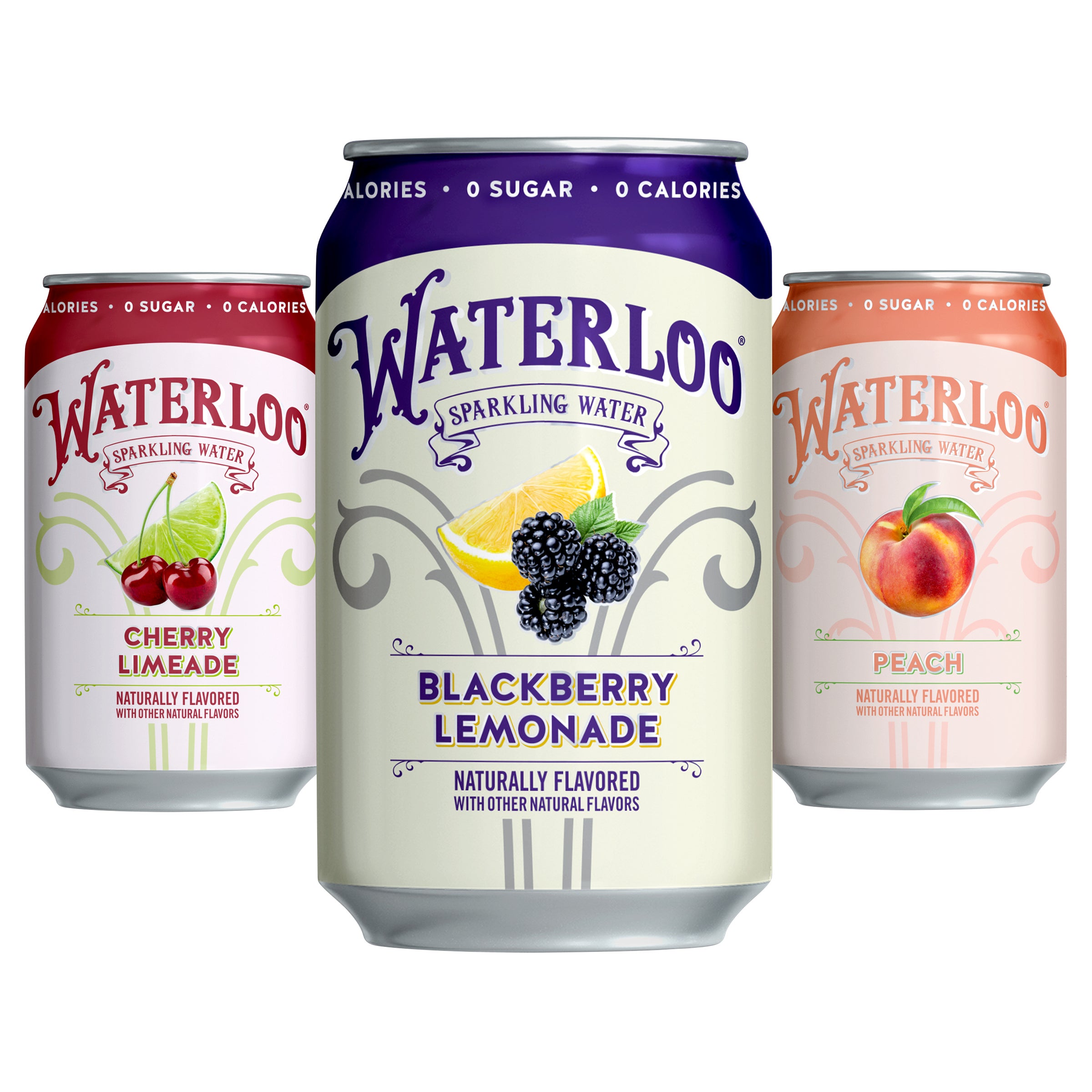 WATERLOO SPARKLING VARIETY 24 PACK 12 OZ EACH - Image 1