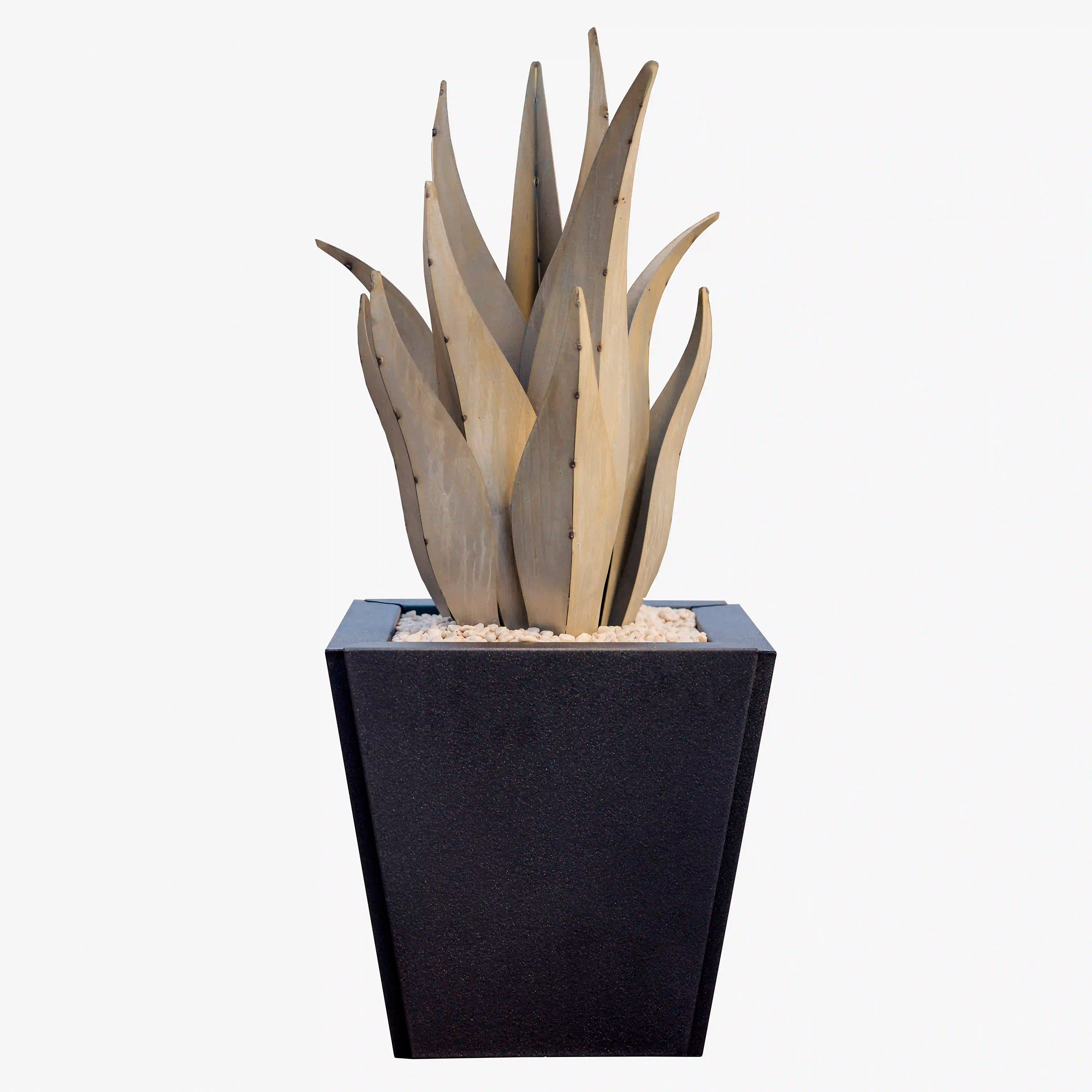 SNAKE AGAVE AND PLANTER SET - Image 1