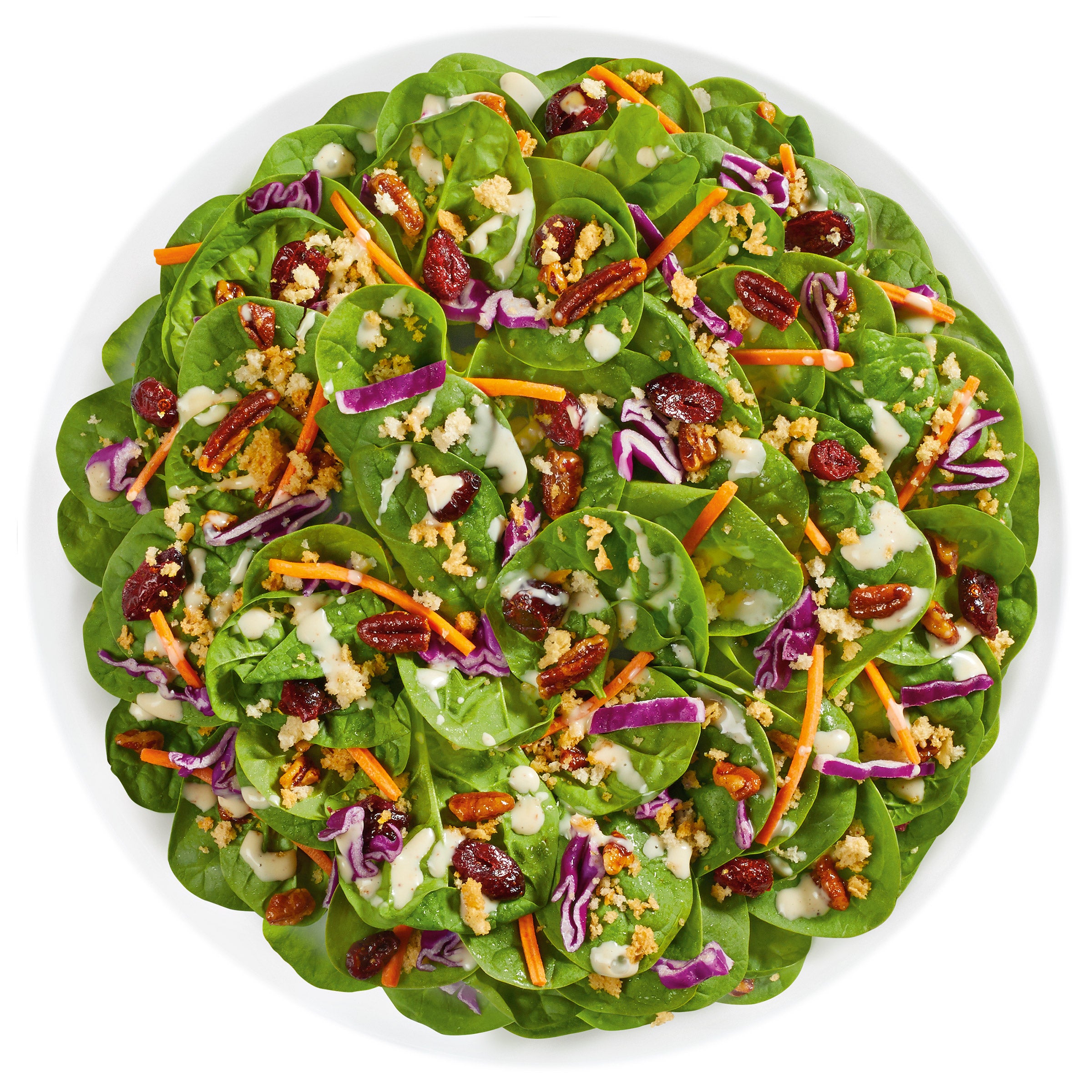 CRANBERRY PECAN SALAD 12.75 OZ