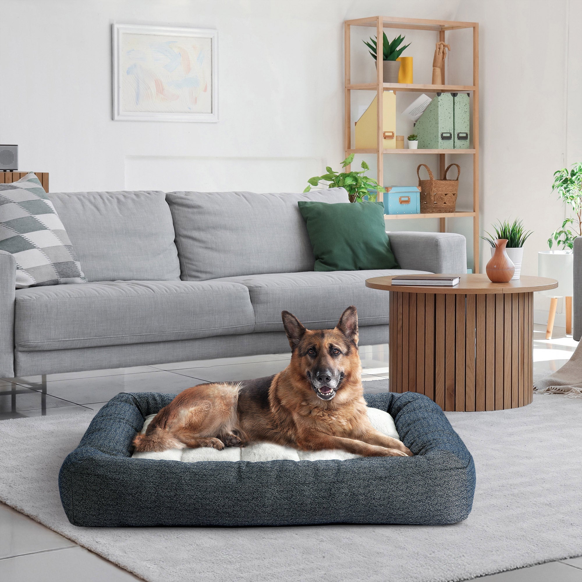 KIRKLAND SIGNATURE CHANNELED BOLSTER PET BED - Image 1