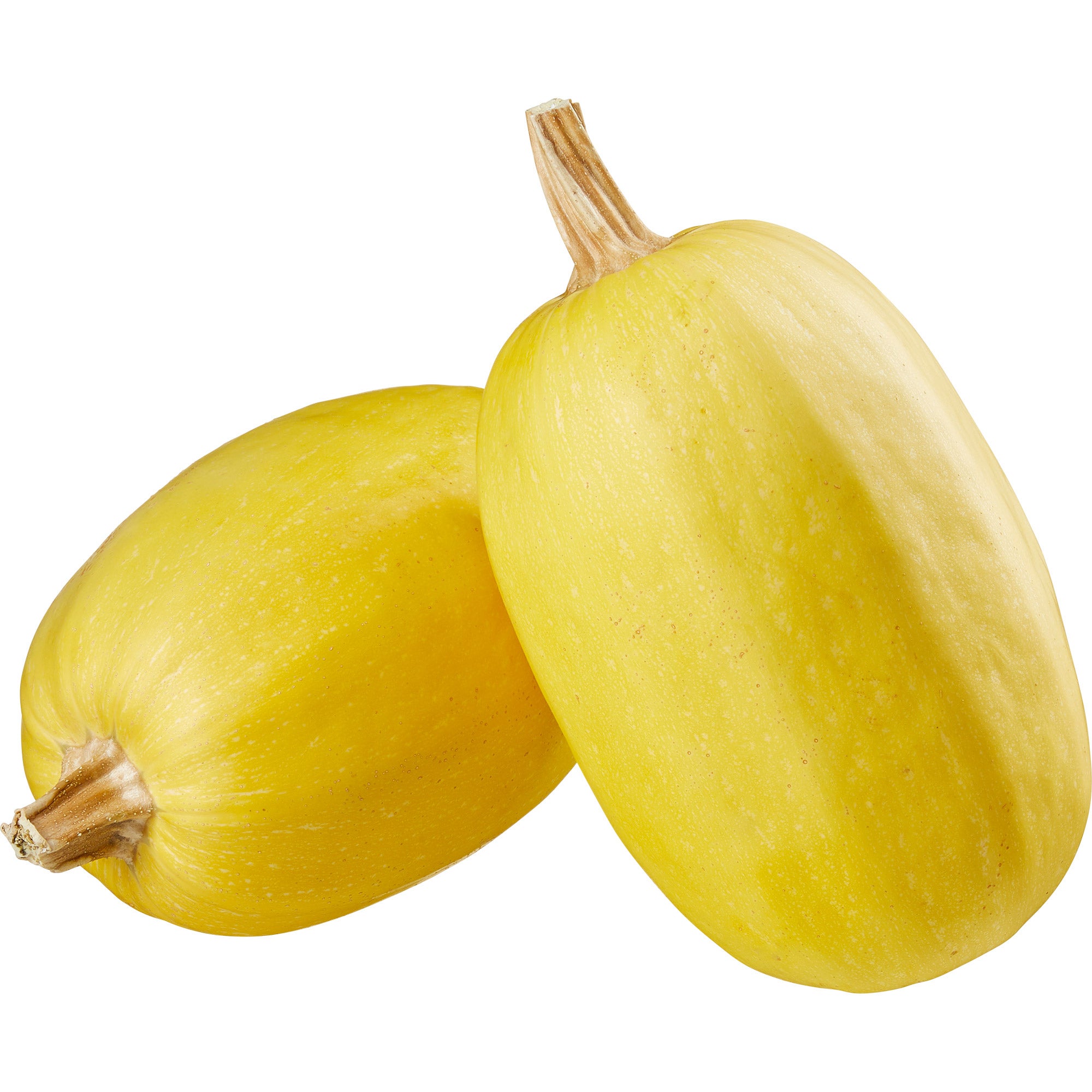ORGANIC SPAGHETTI SQUASH