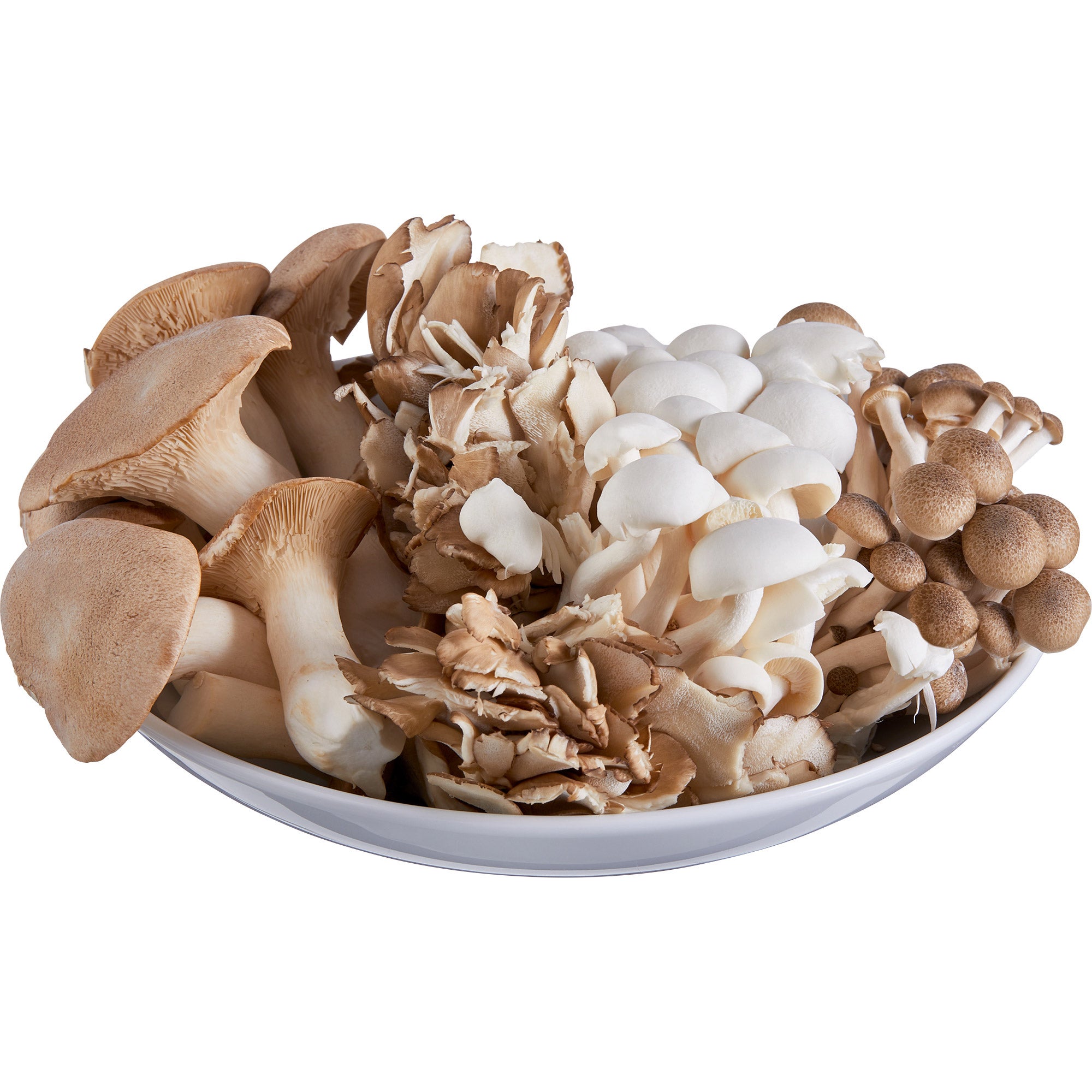 ORGANIC CHEF'S SAMPLER MUSHROOMS 16 OZ