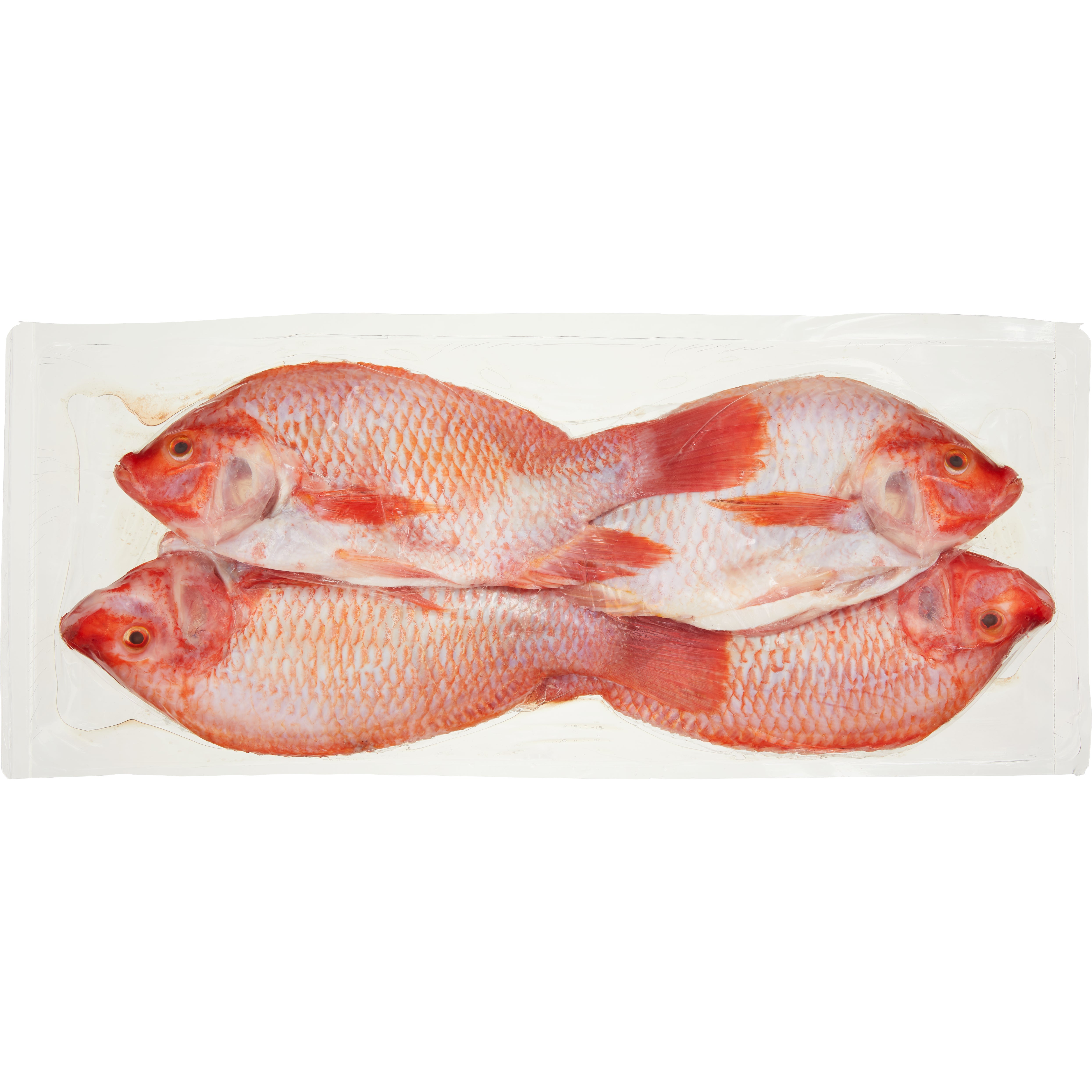 FRESH FARMED WHOLE RED TILAPIA PER LB