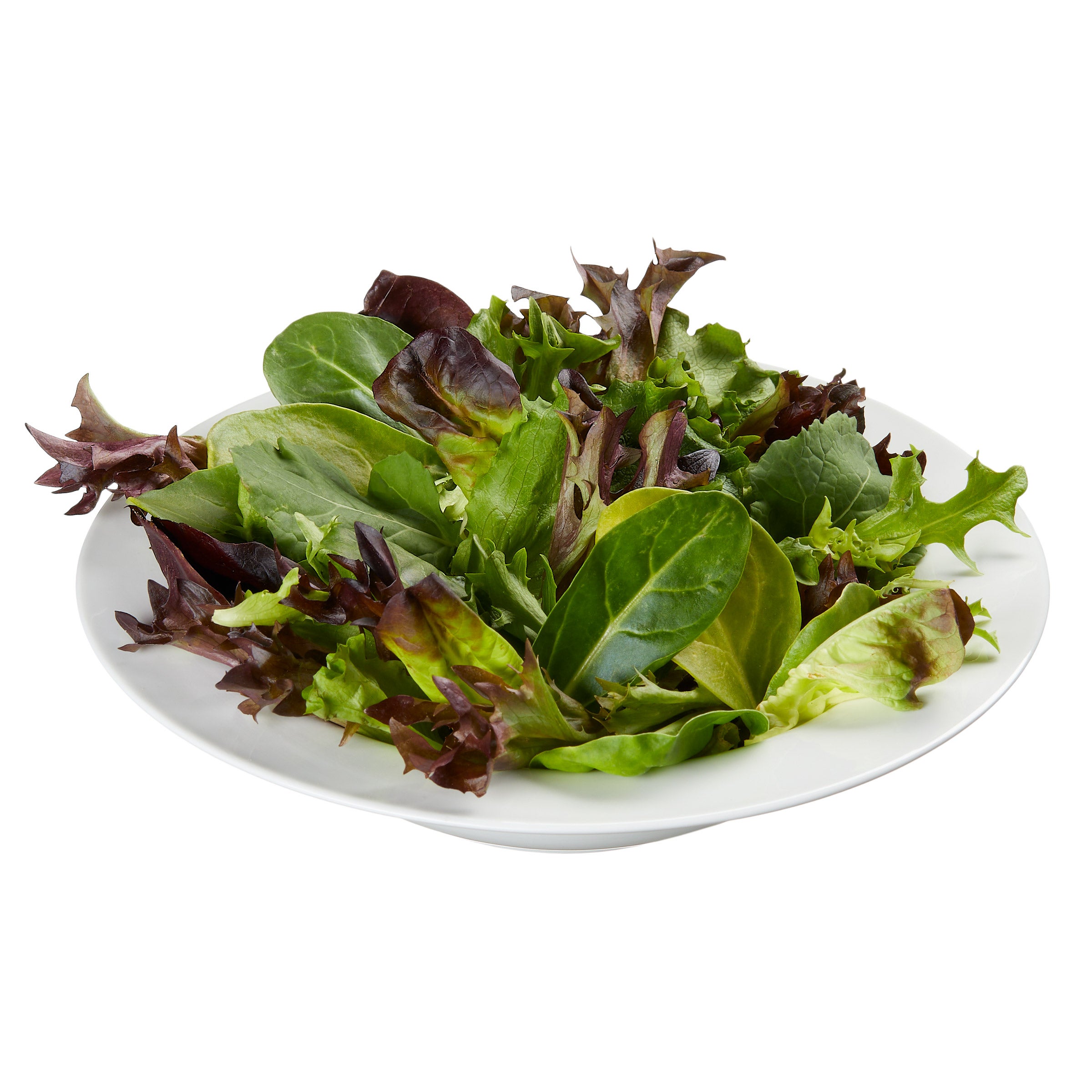 ORGANIC RENAISSANCE BLEND 1LB