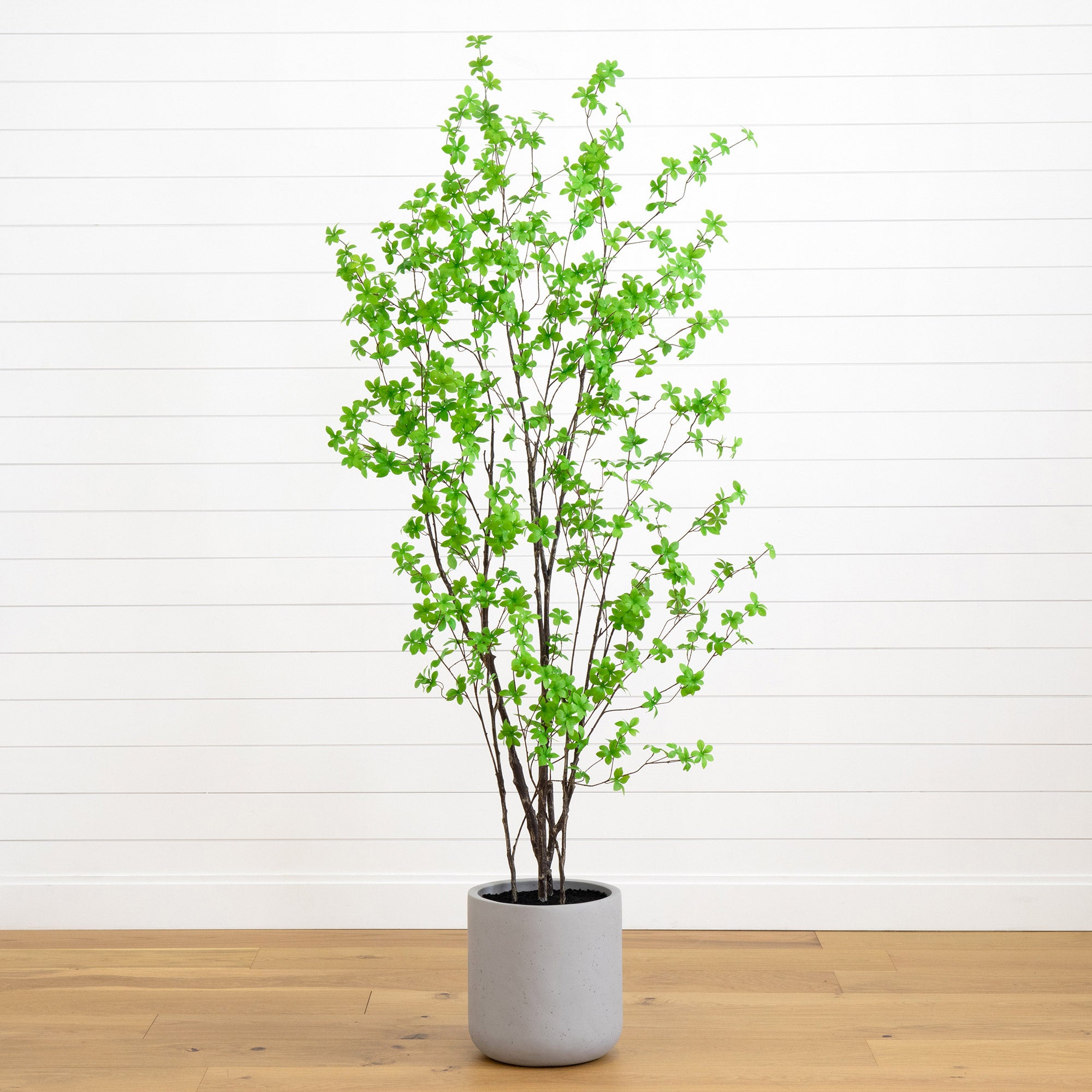 NEARLY NATURAL FAUX 7' ENKIANTHUS TREE - Image 1