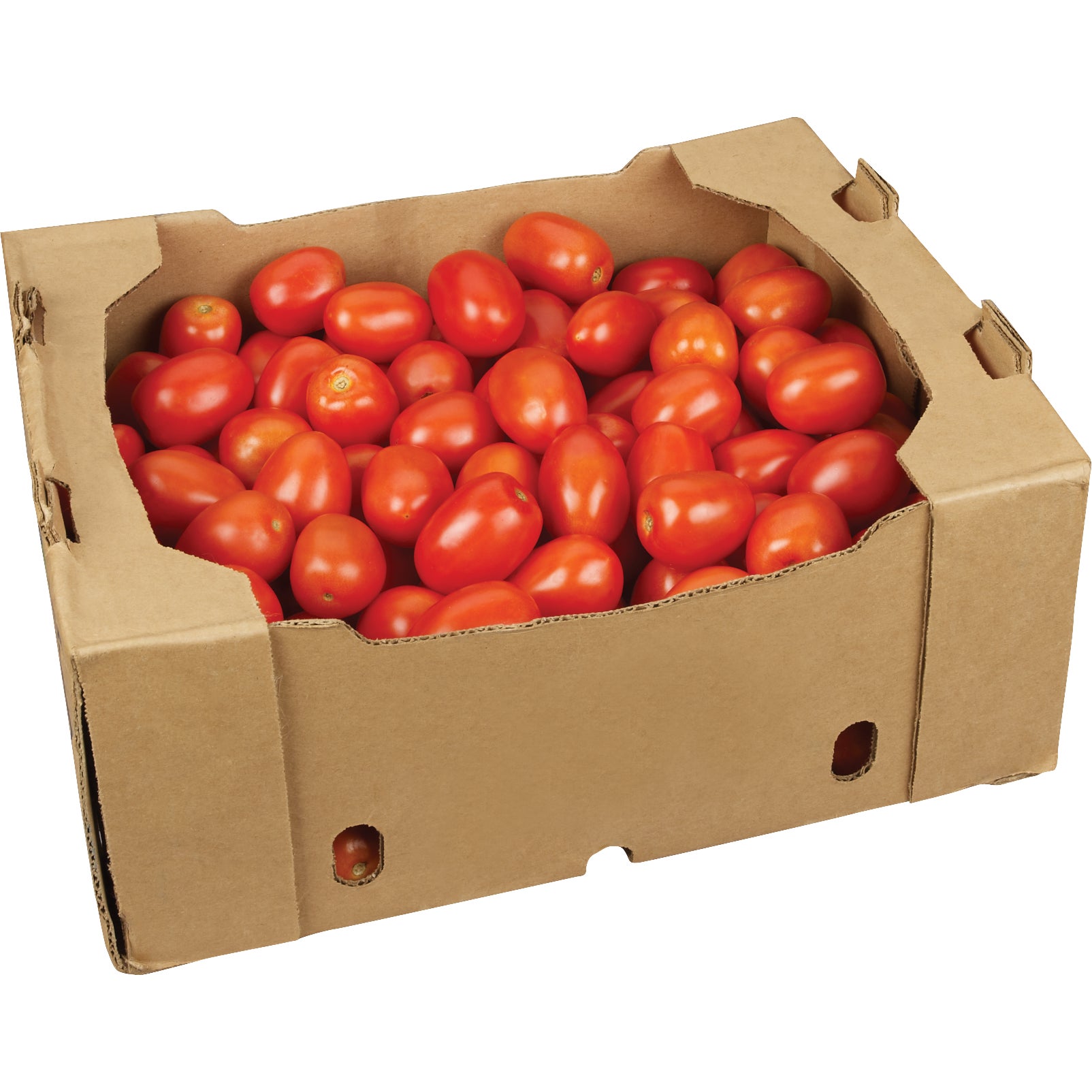 CAFE ROMA TOMATOES LOOSE FILL 25 LBS
