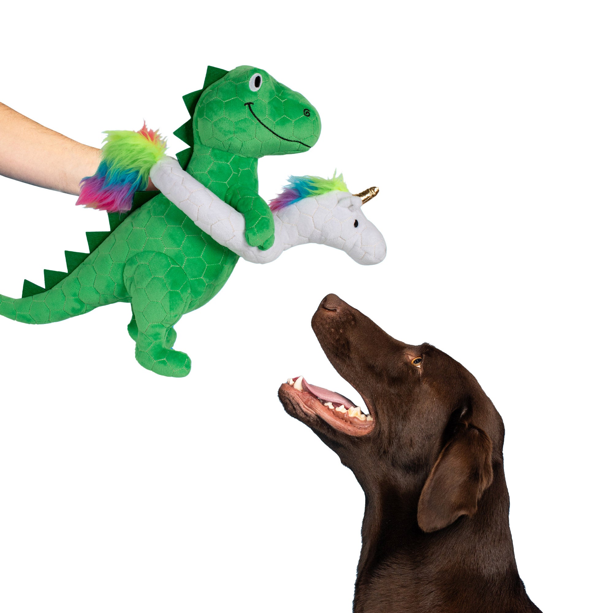 FRINGE DINO-MITE DOG TOY