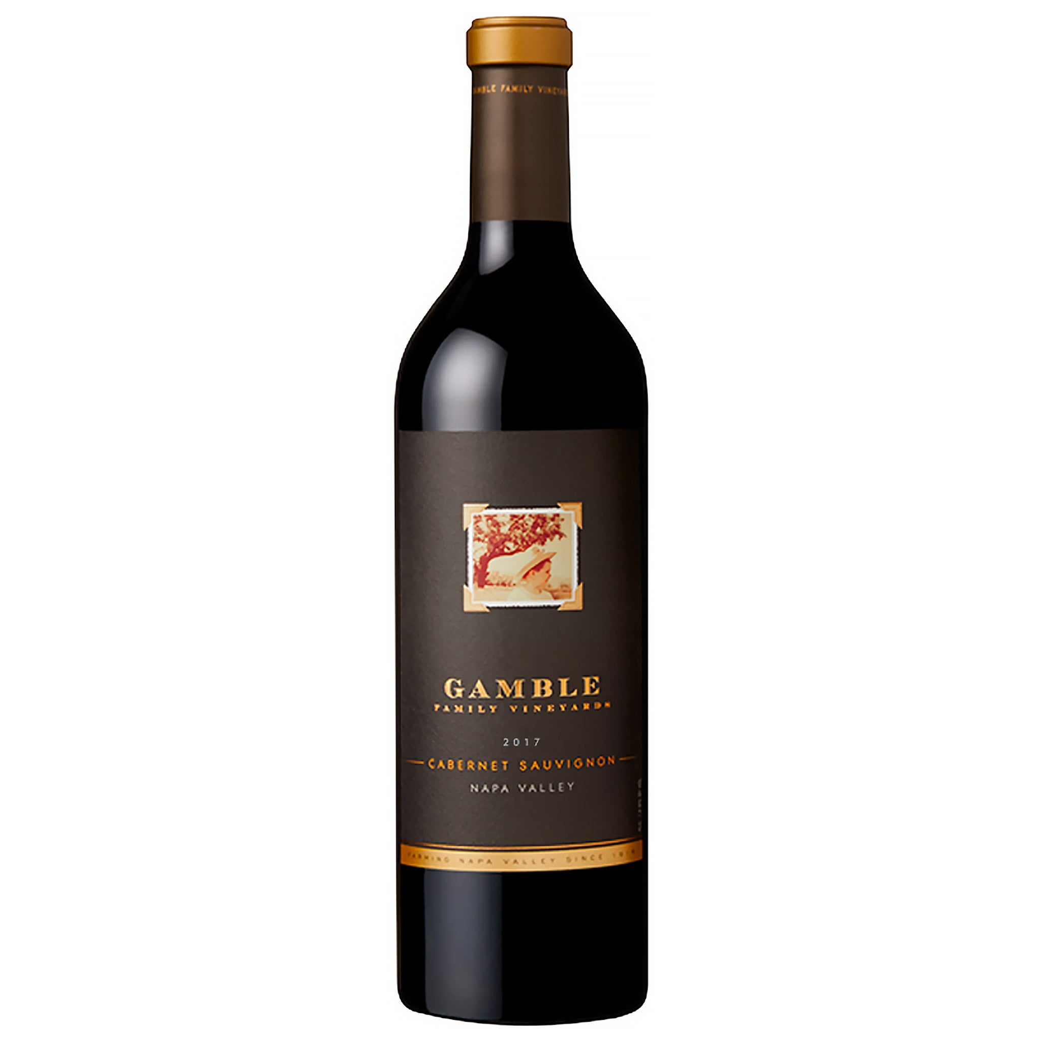 GAMBLE ESTATE CABERNET SAUVIGNON NAPA VALLEY 750ML