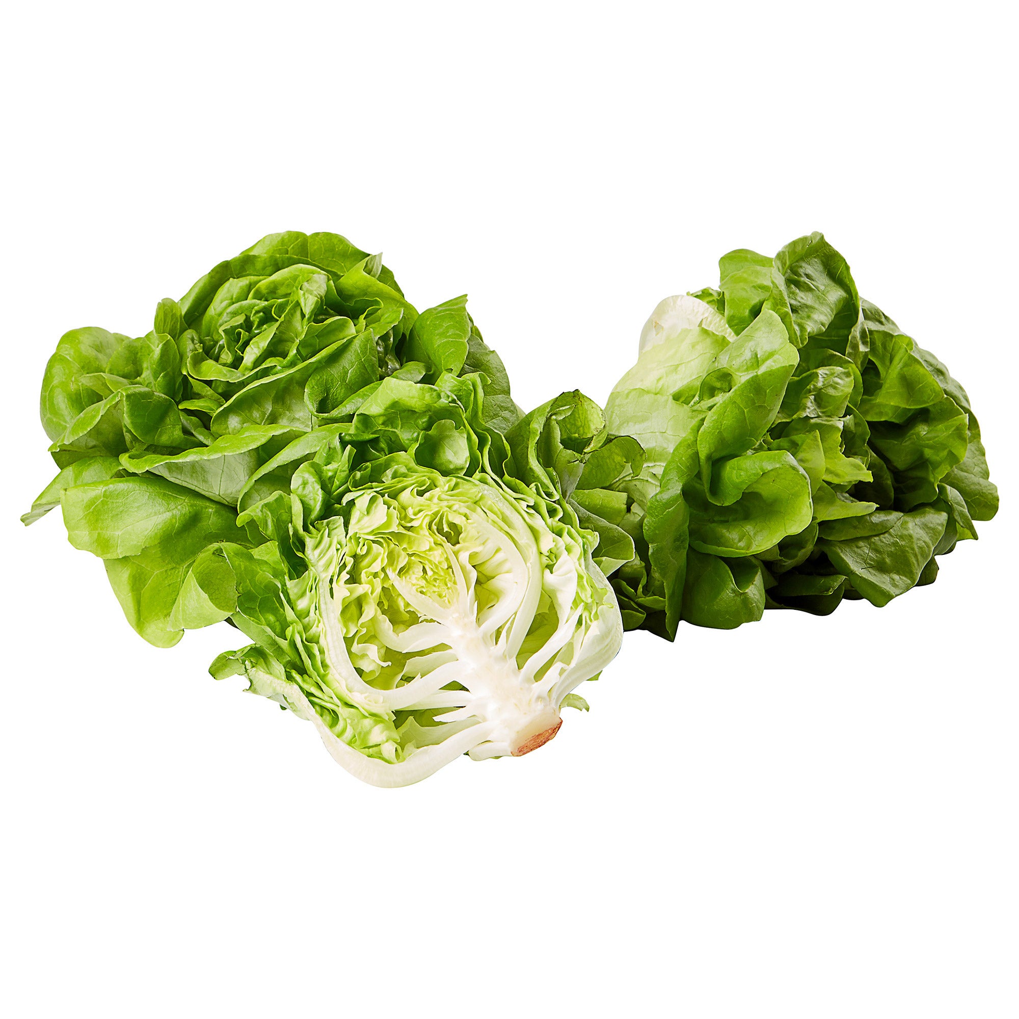 GREEN BUTTER LETTUCE 30 OZ GROWN IN HAWAII