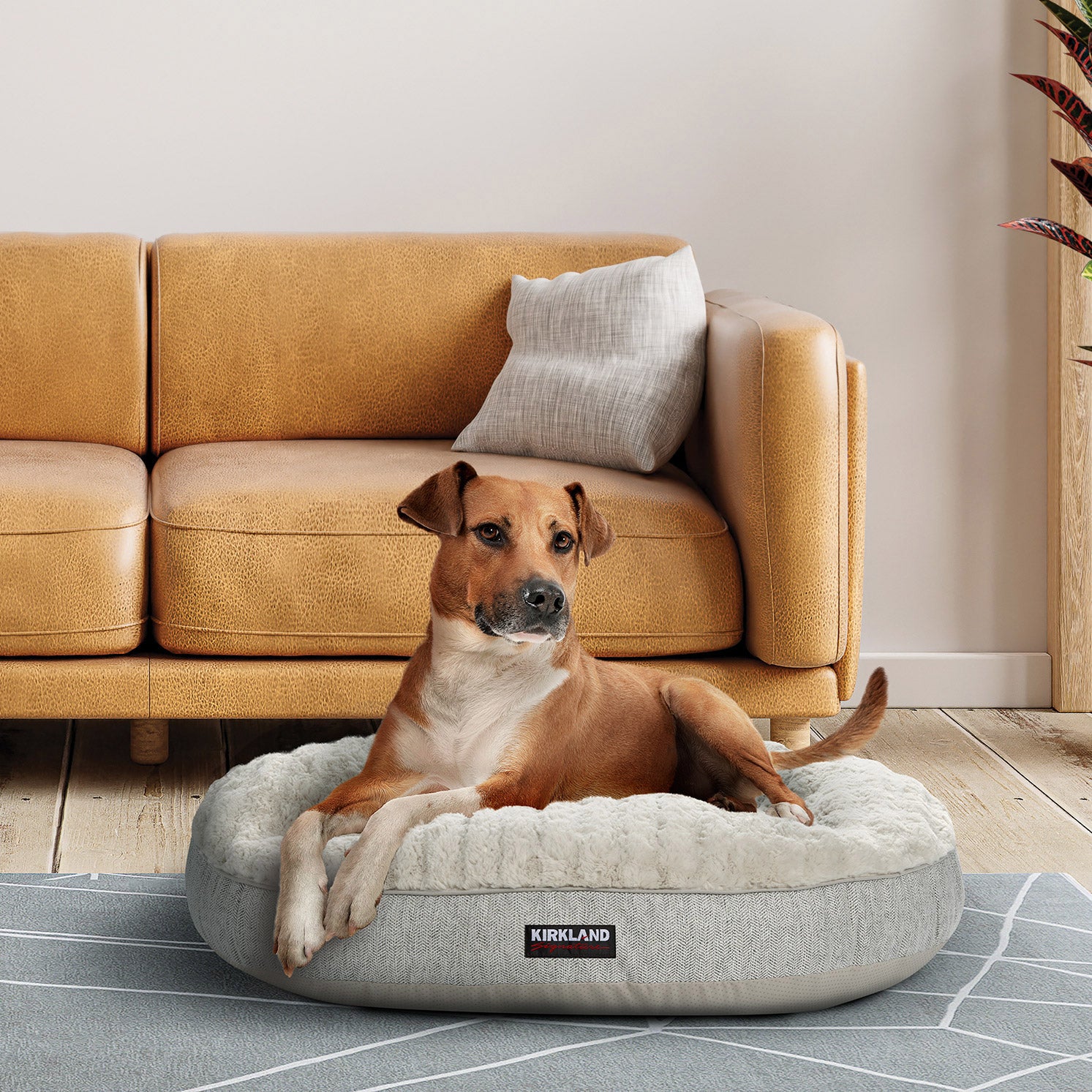 KIRKLAND SIGNATURE 42¨ ROUND PET BED