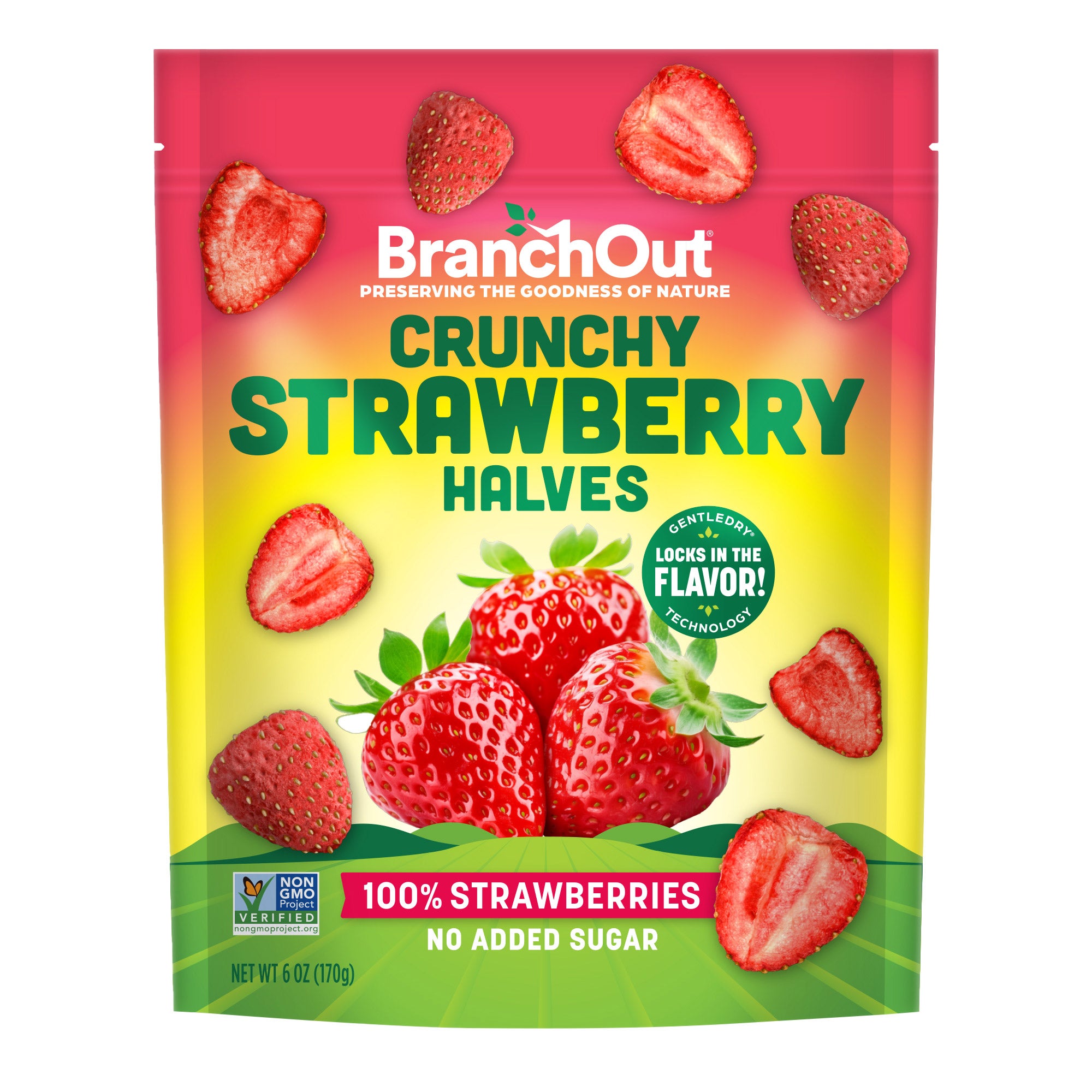 BRANCH OUT DRIED STRAWBERRY HALVE 6 OZ - Image 1