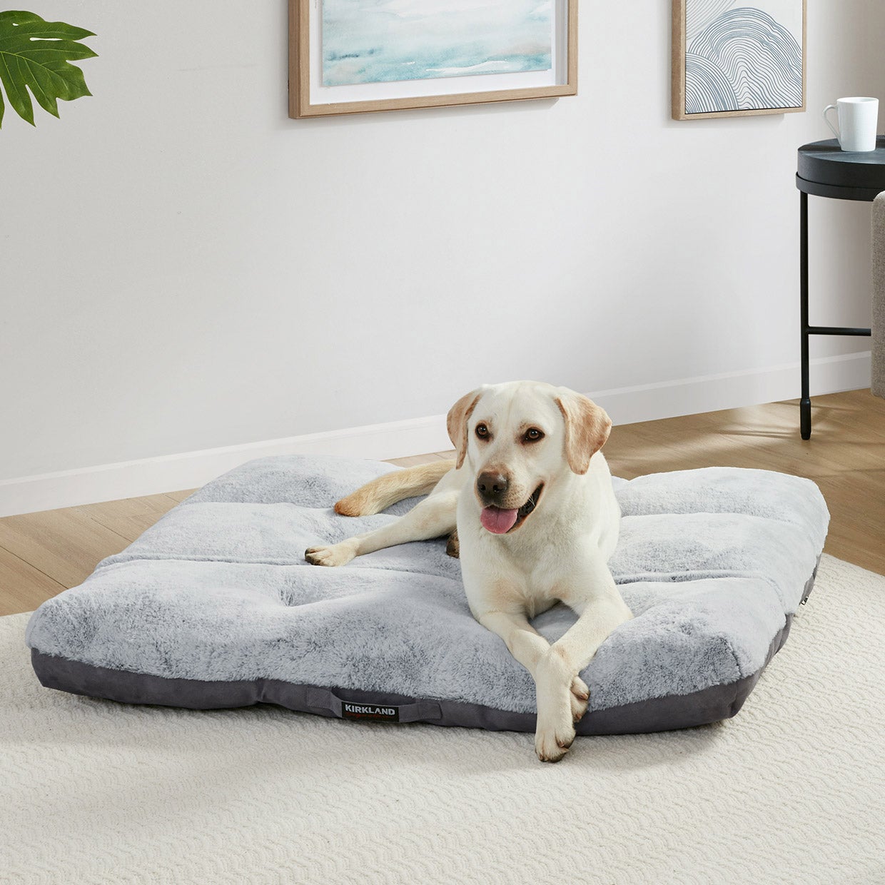 KIRKLAND SIGNATURE SQUARE TUFTED PET BED 42¨X42¨