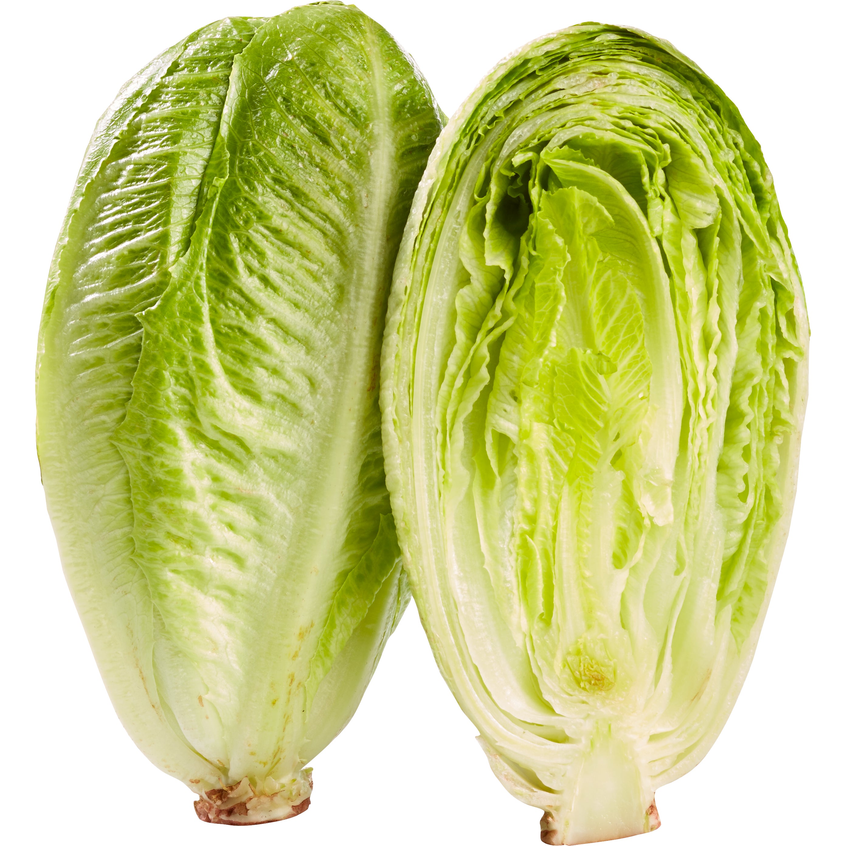 ROMAINE HEARTS 6 COUNT