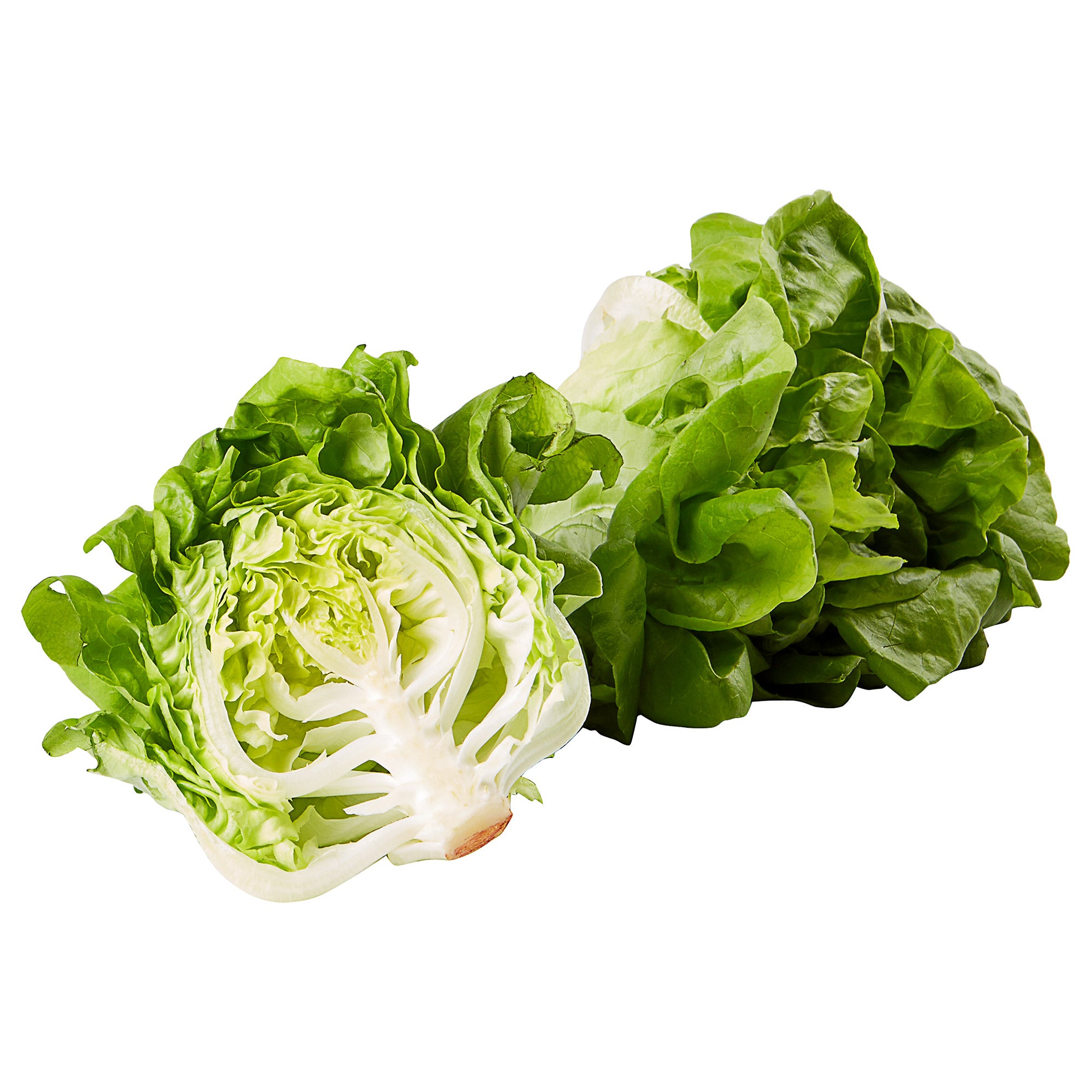 ORGANIC LIVING LETTUCE 2 COUNT