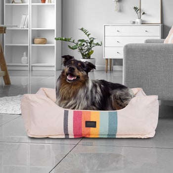 PENDLETON LARGE KUDDLER DOG BED BEIGE