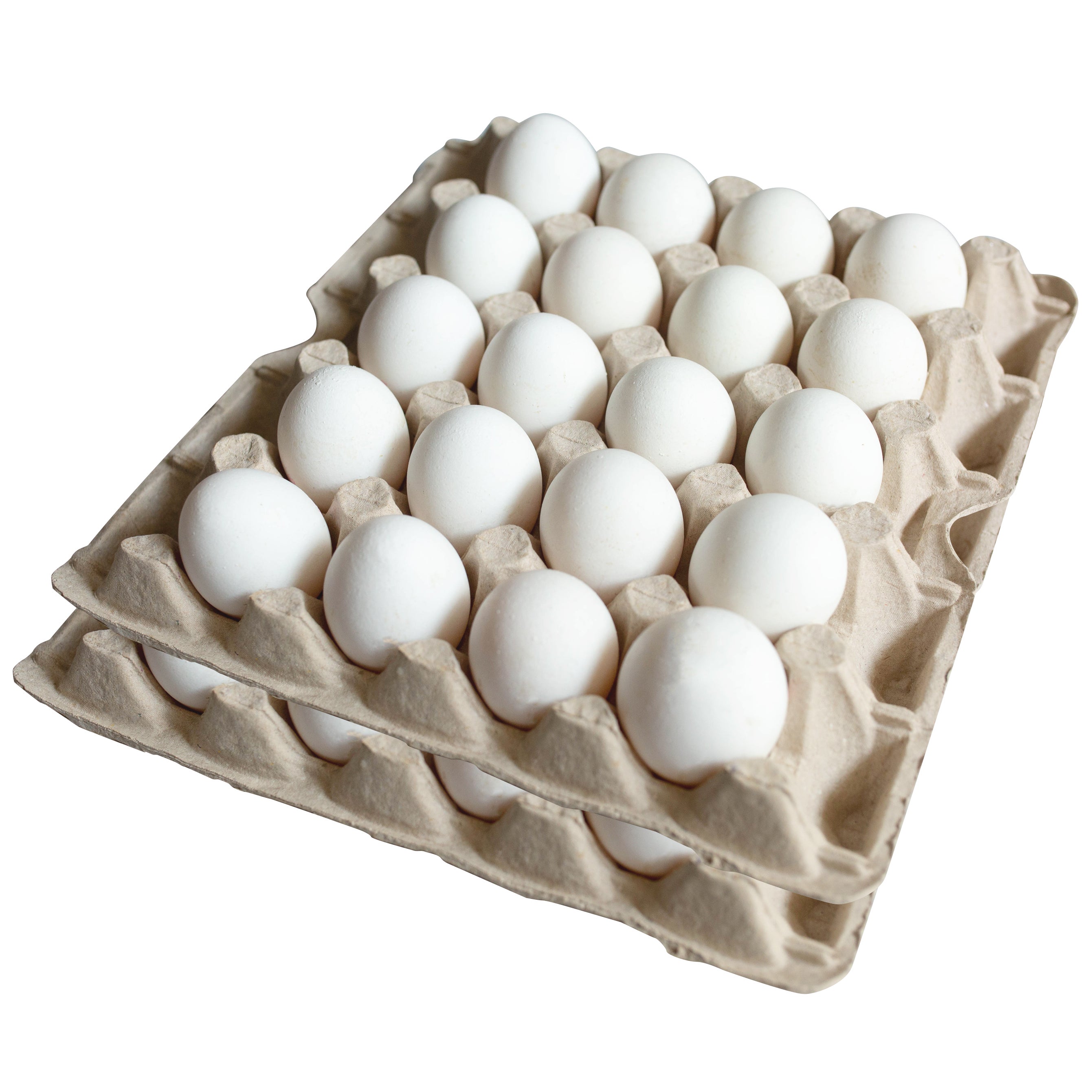 GRADE A CAGE FREE JUMBO EGGS 40 CT (3.3 DOZEN)