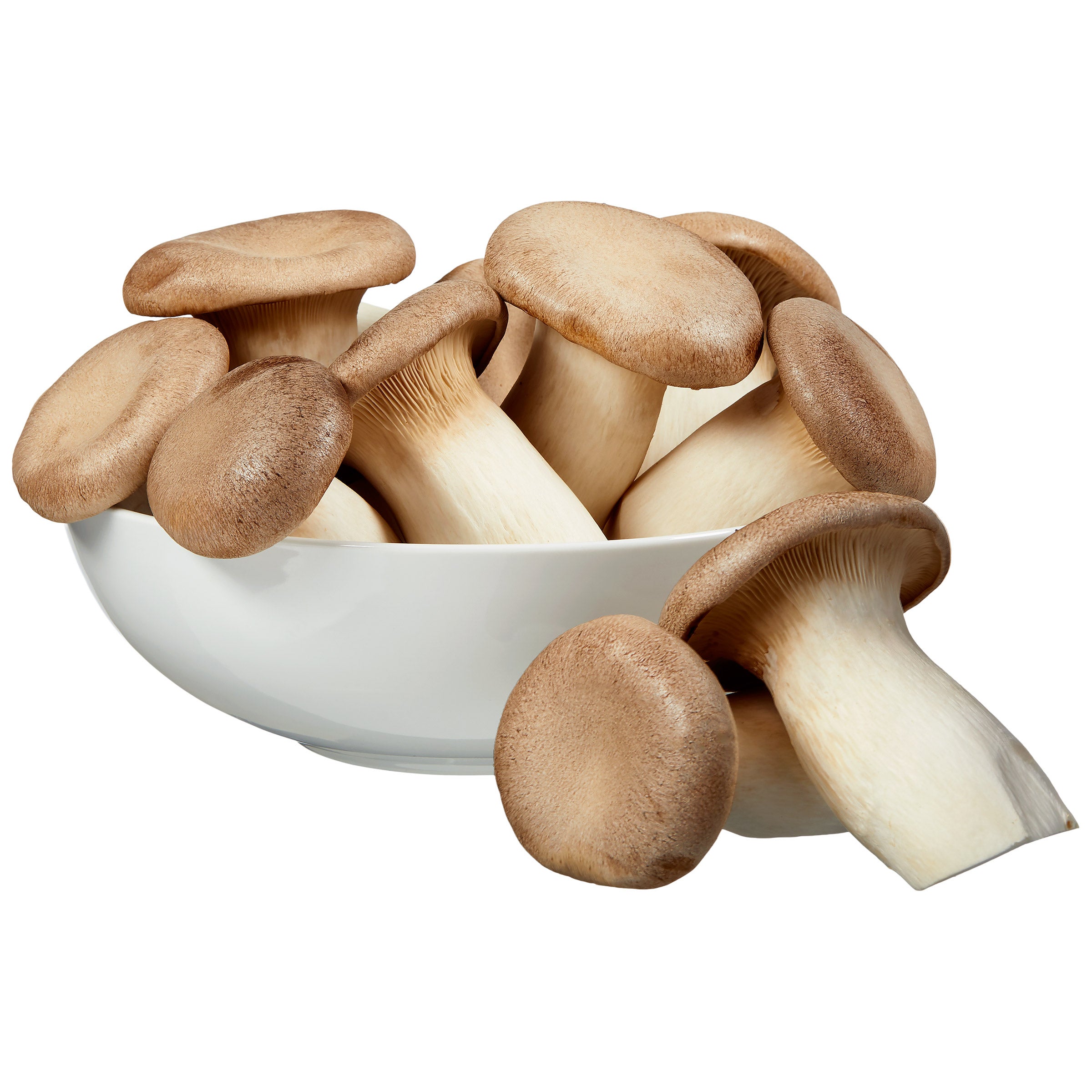 TRUMPET ROYALE ORGANIC MUSHROOM 1 LB - Image 1