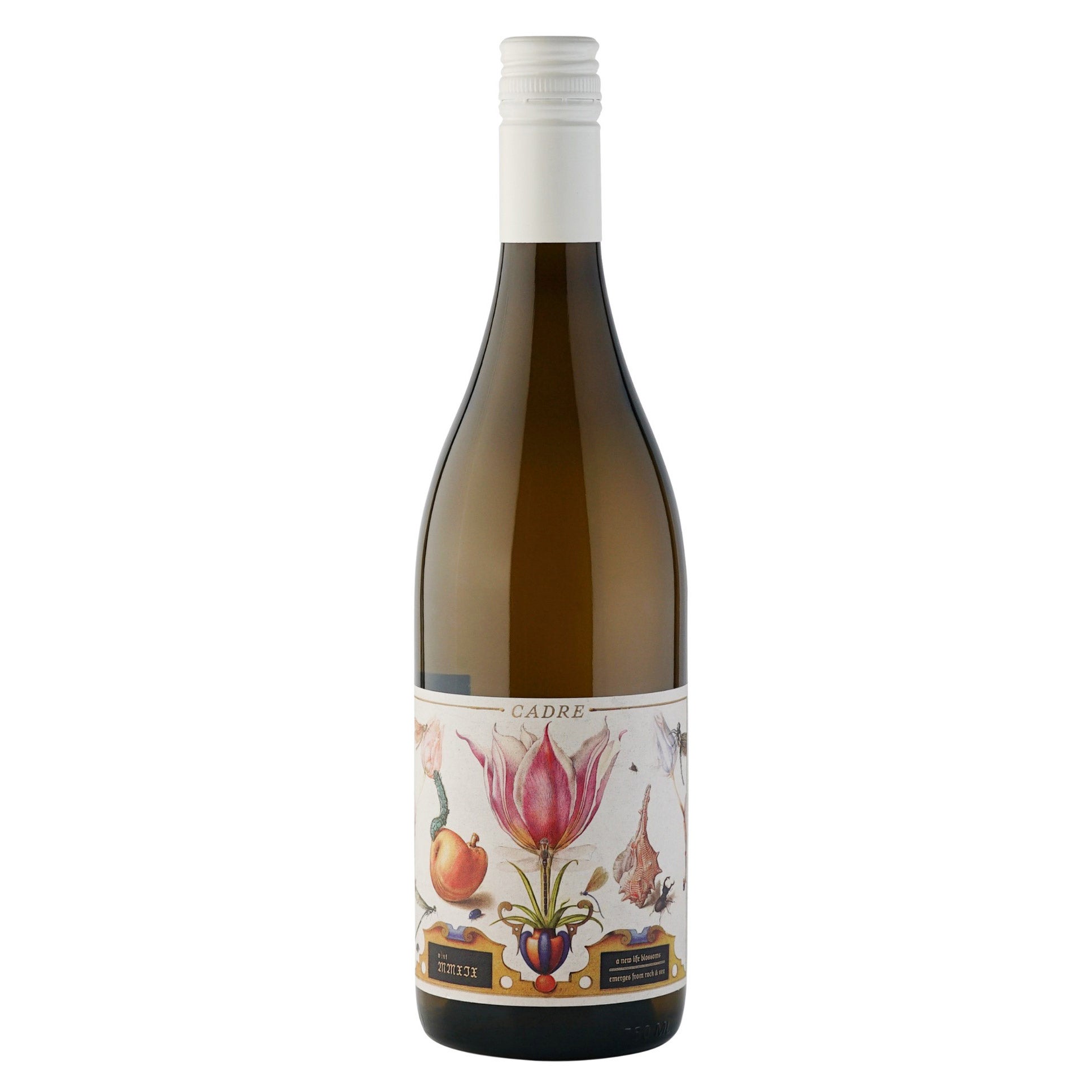 CADRE SAUVIGNON BLANC EDNA VALLEY, CA 750ML