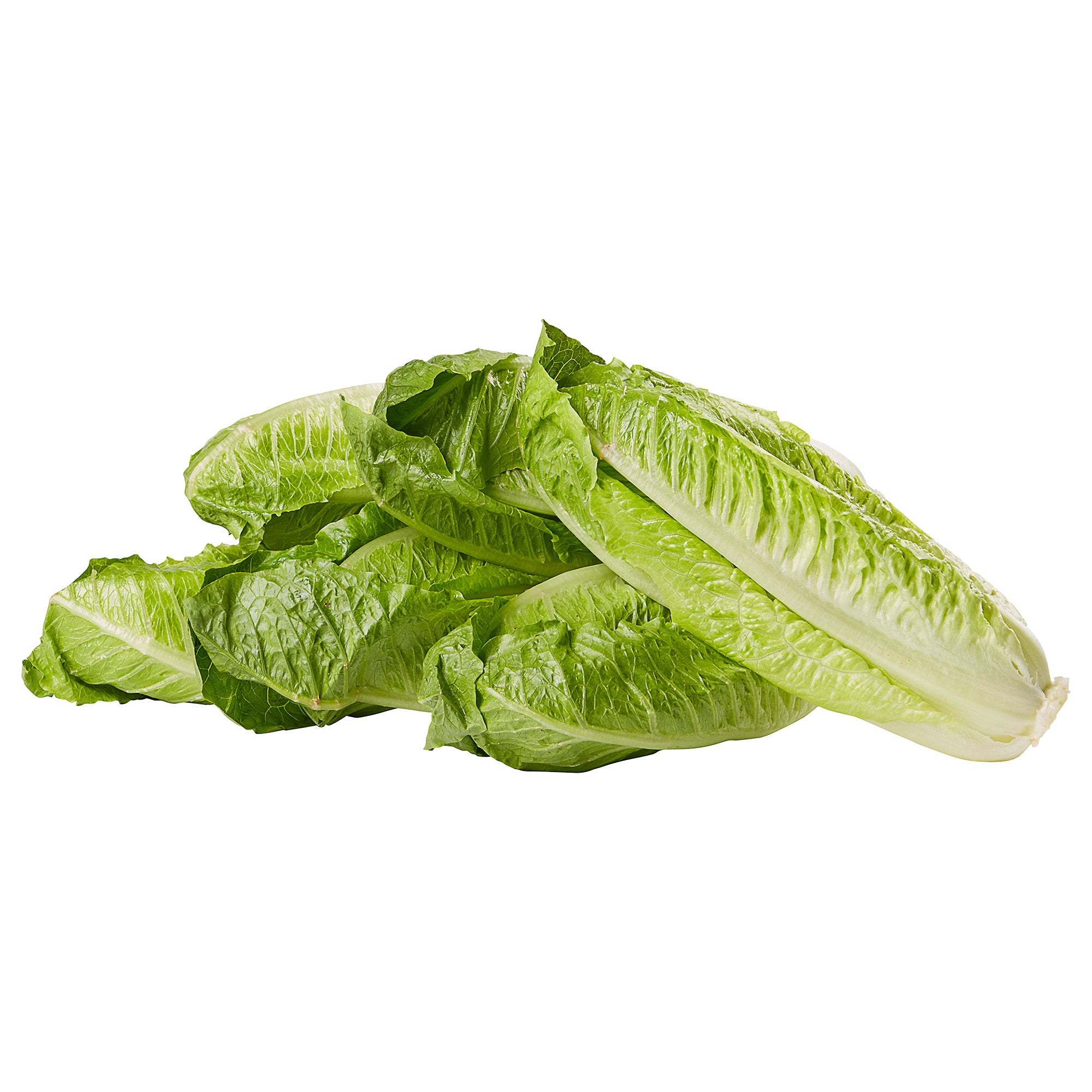 ROMAINE HEARTS 6 COUNT