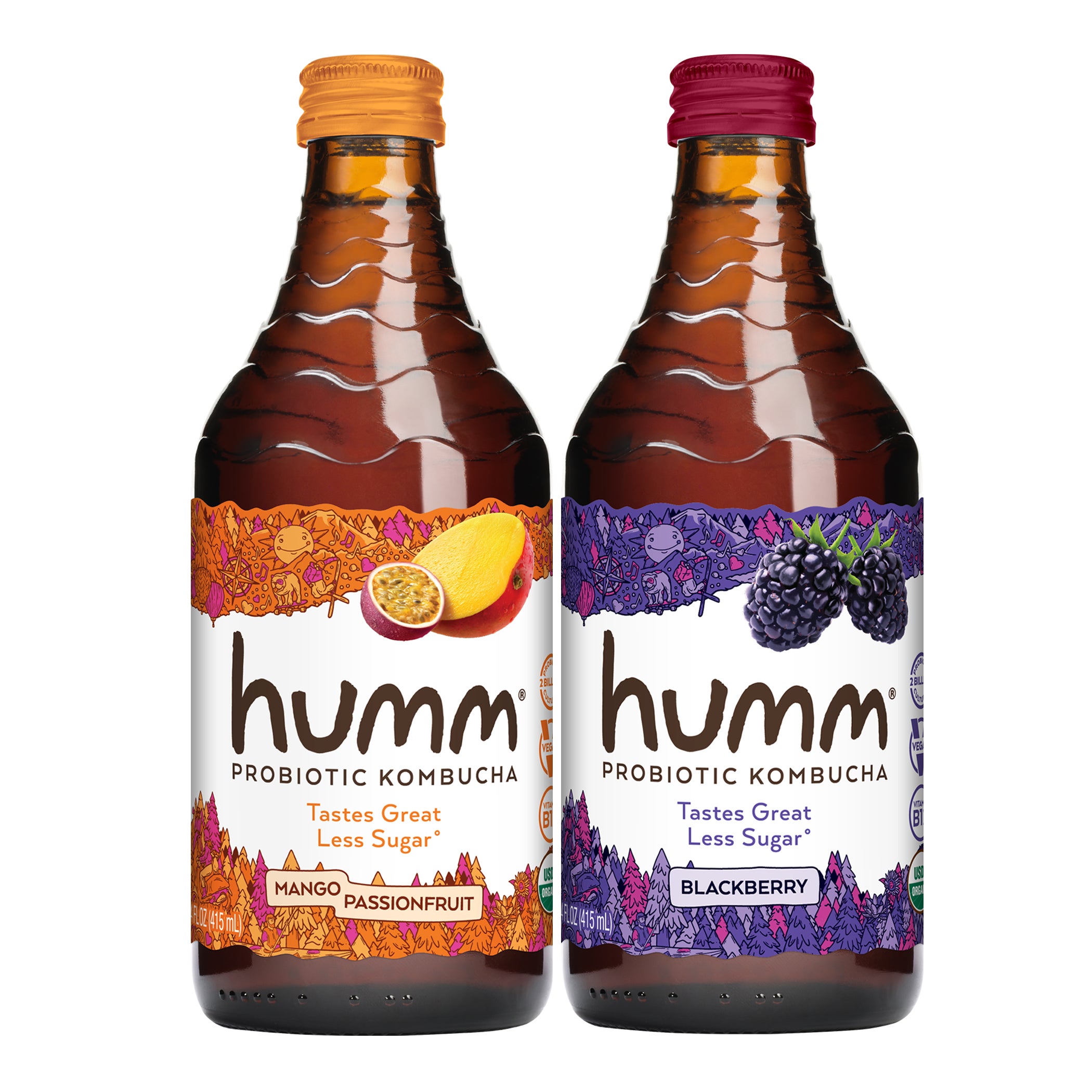HUMM ORGANIC KOMBUCHA BLACKBERRY / PASSION 12/14 FL OZ - Image 1