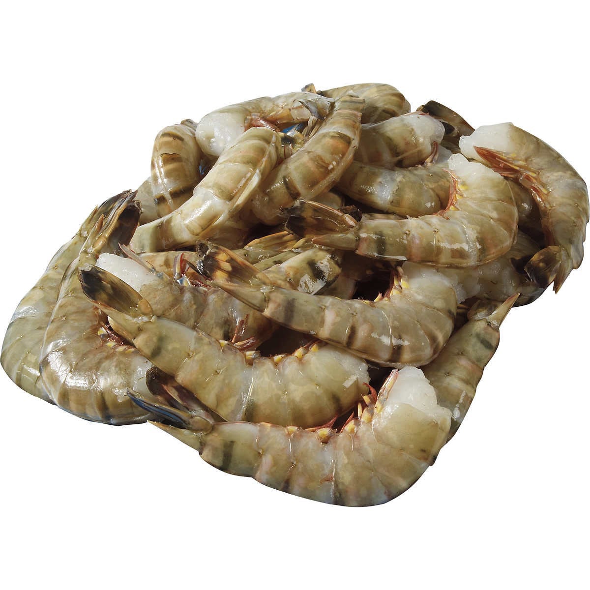 U-15 FARMED BLACK TIGER SHRIMP 4 LB BAG