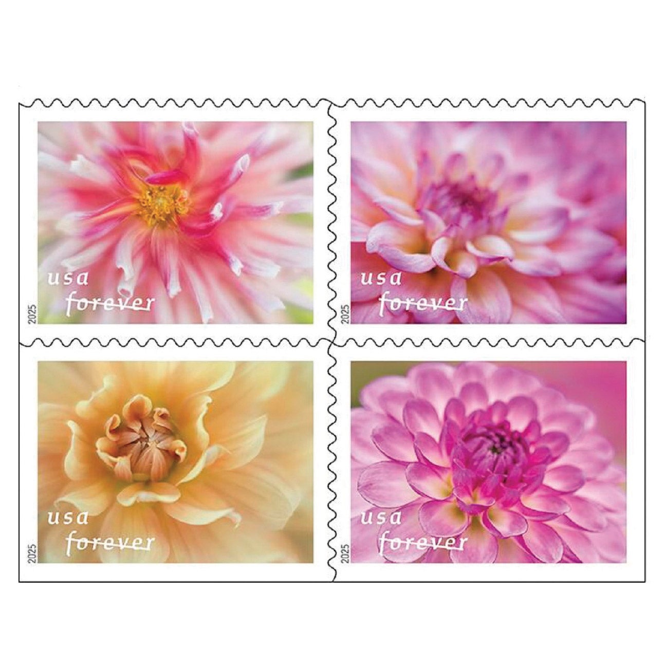 USPS FOREVER STAMP SPRING EDITION 5 BOOKS OF 20 STAMPS - Image 1