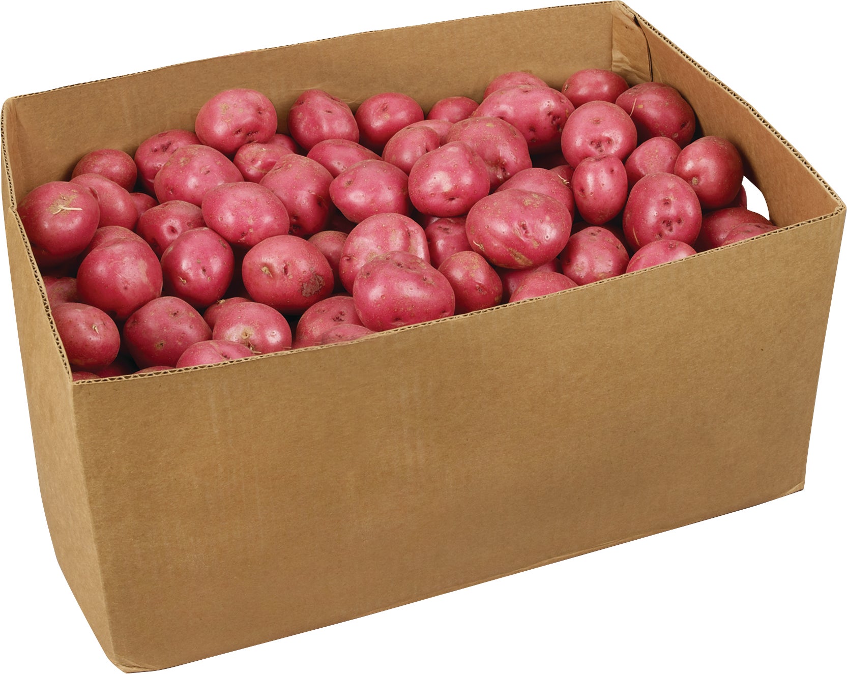 RED POTATOES 50 LBS