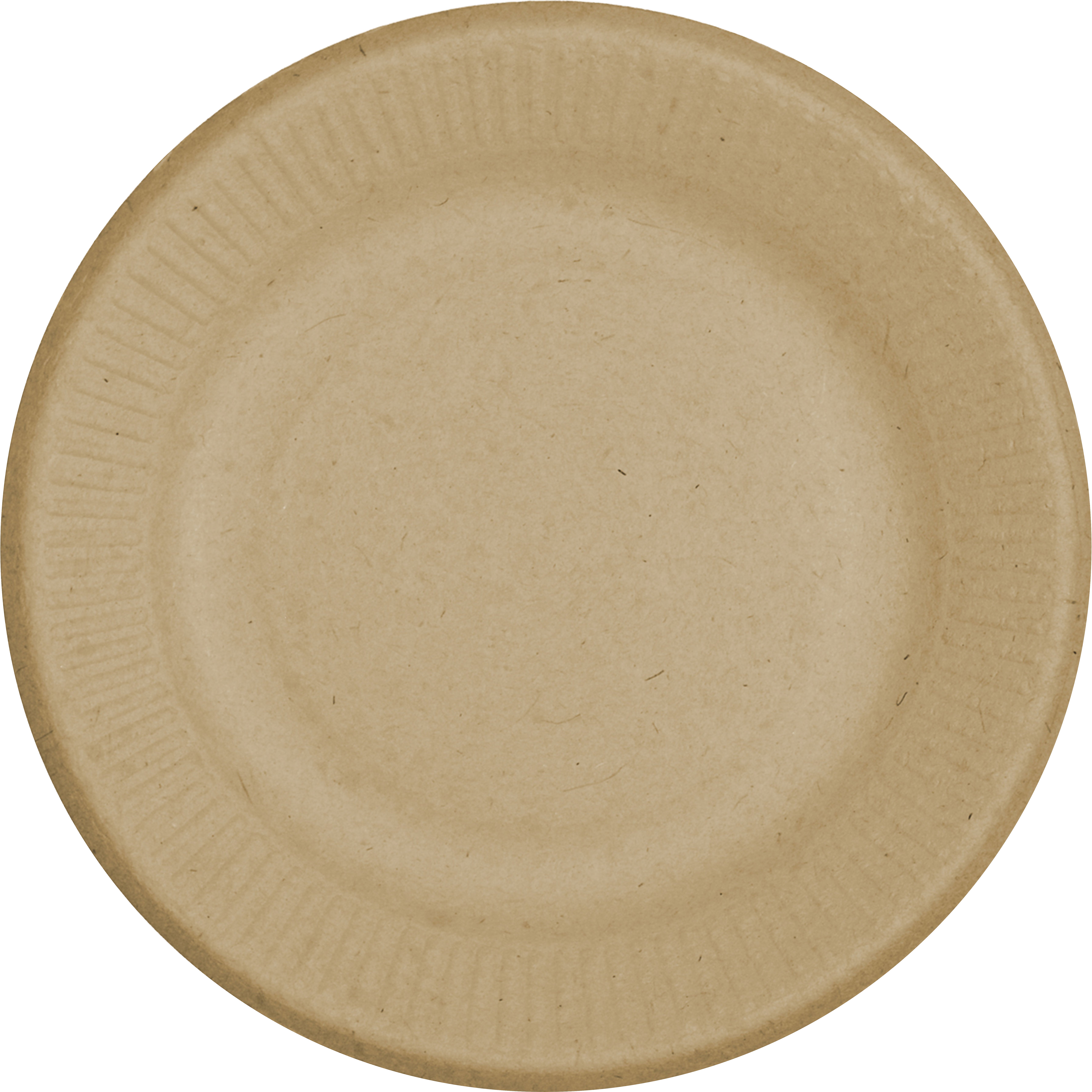 WORLD CENTRIC 9¨ PLATE COMPOSTABLE 250 CT - Image 1