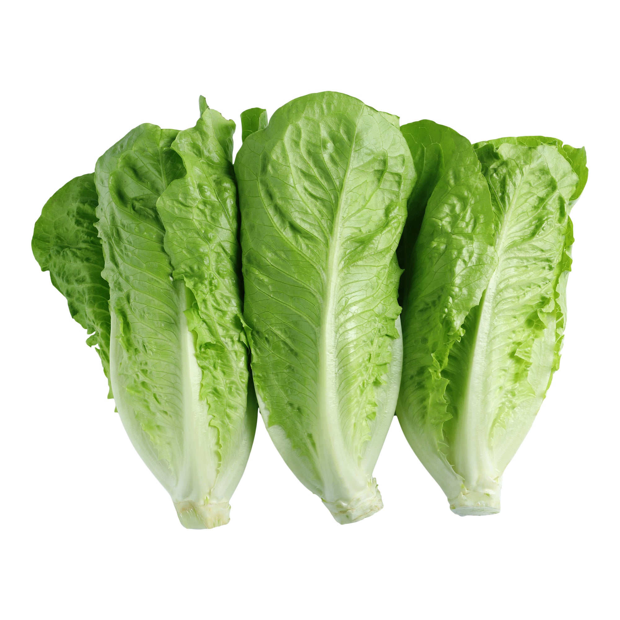 WASHED AND TRIMMED ROMAINE HEARTS 4 COUNT