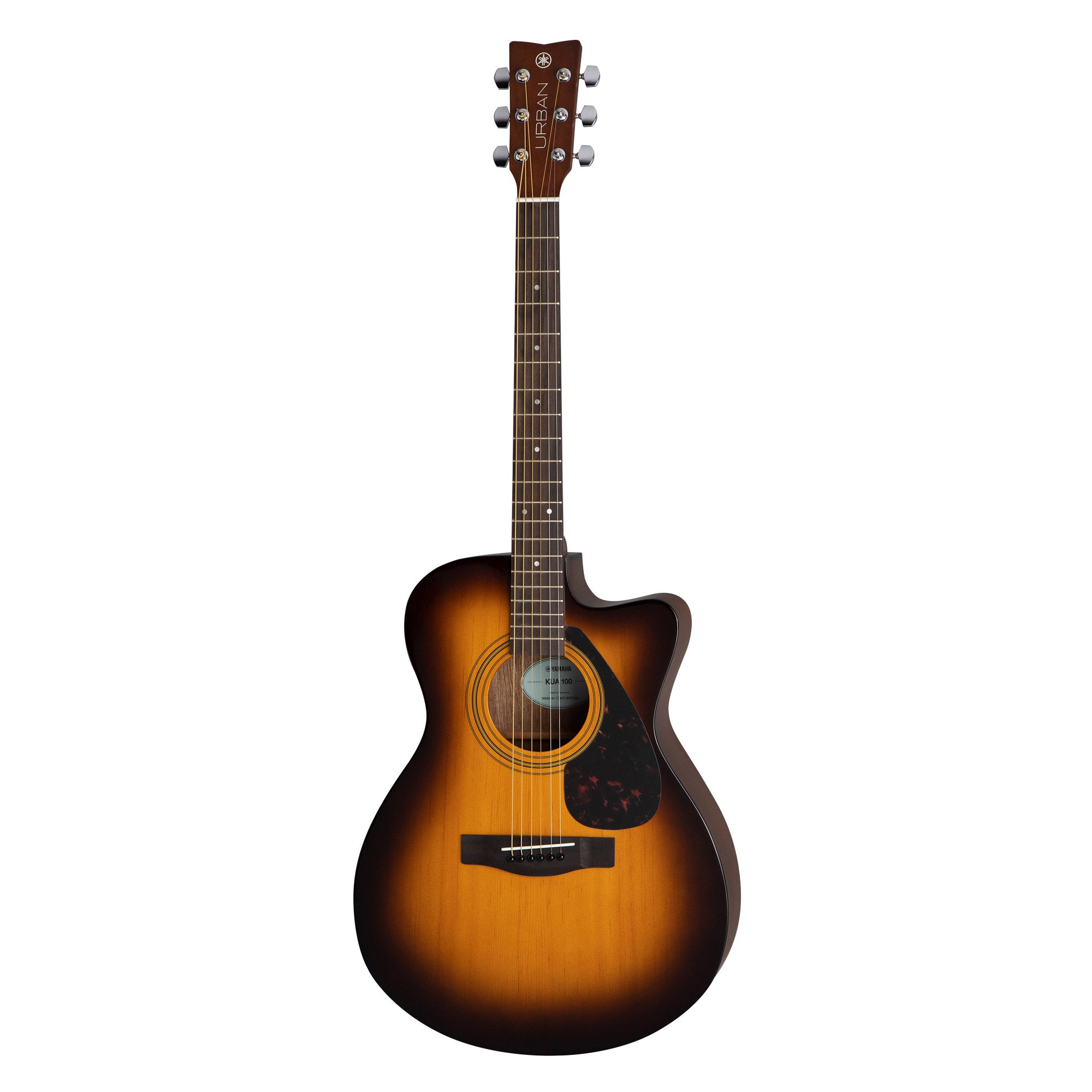 KEITH URBAN YAMAHA GUITAR BUNDLE WITH LESSONS