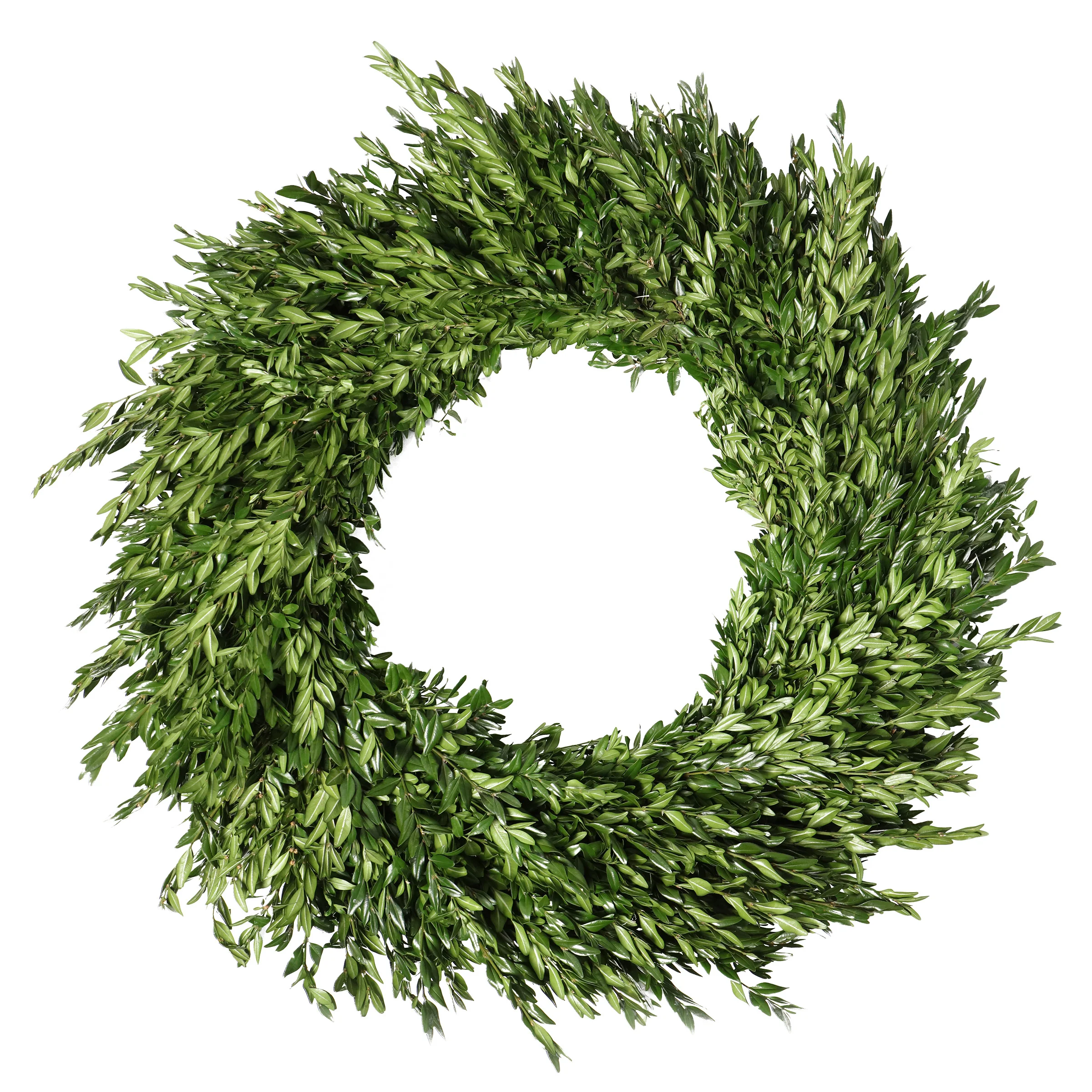 28" BOXWOOD WREATH