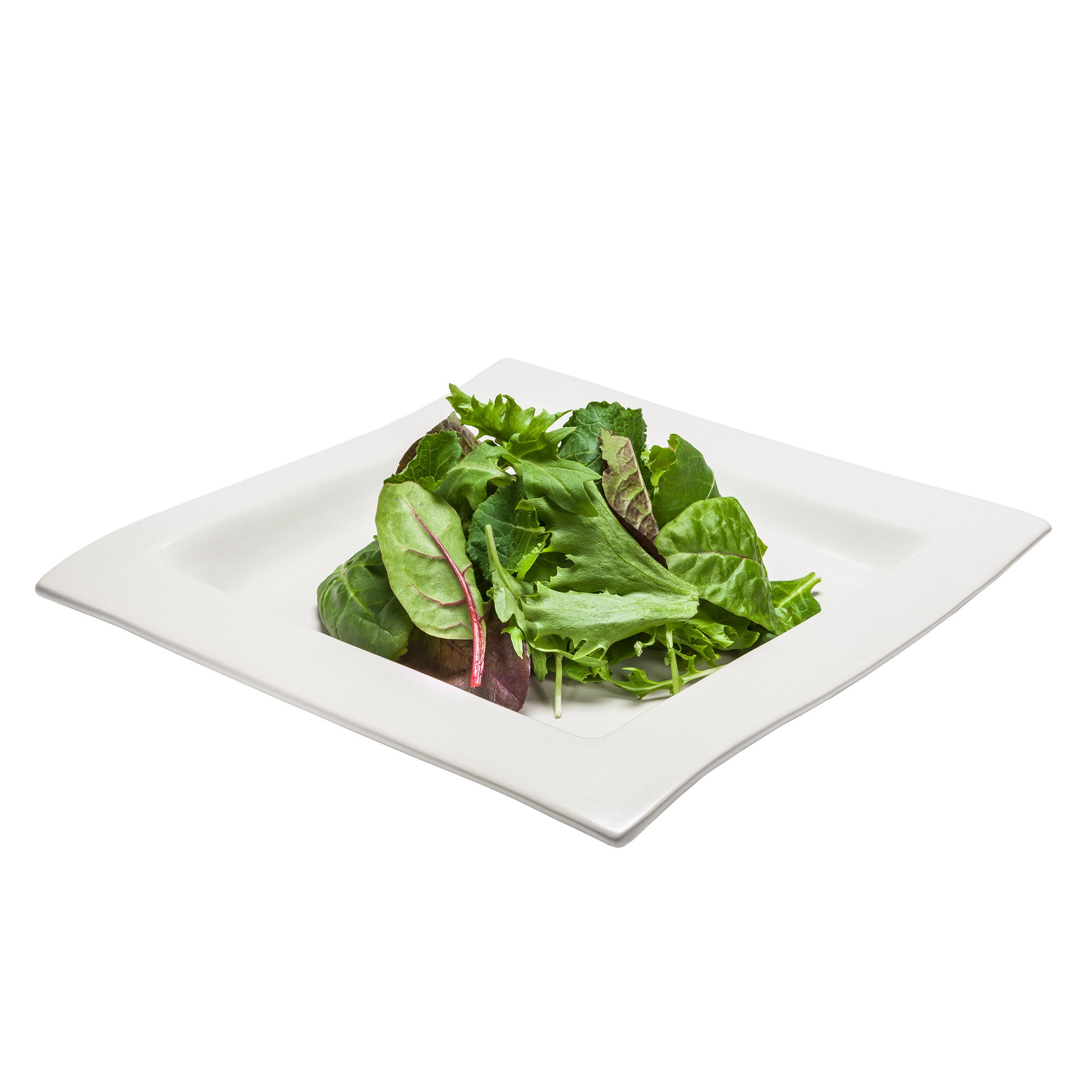 SPRING MIX FLORIDA GROWN 1 LB