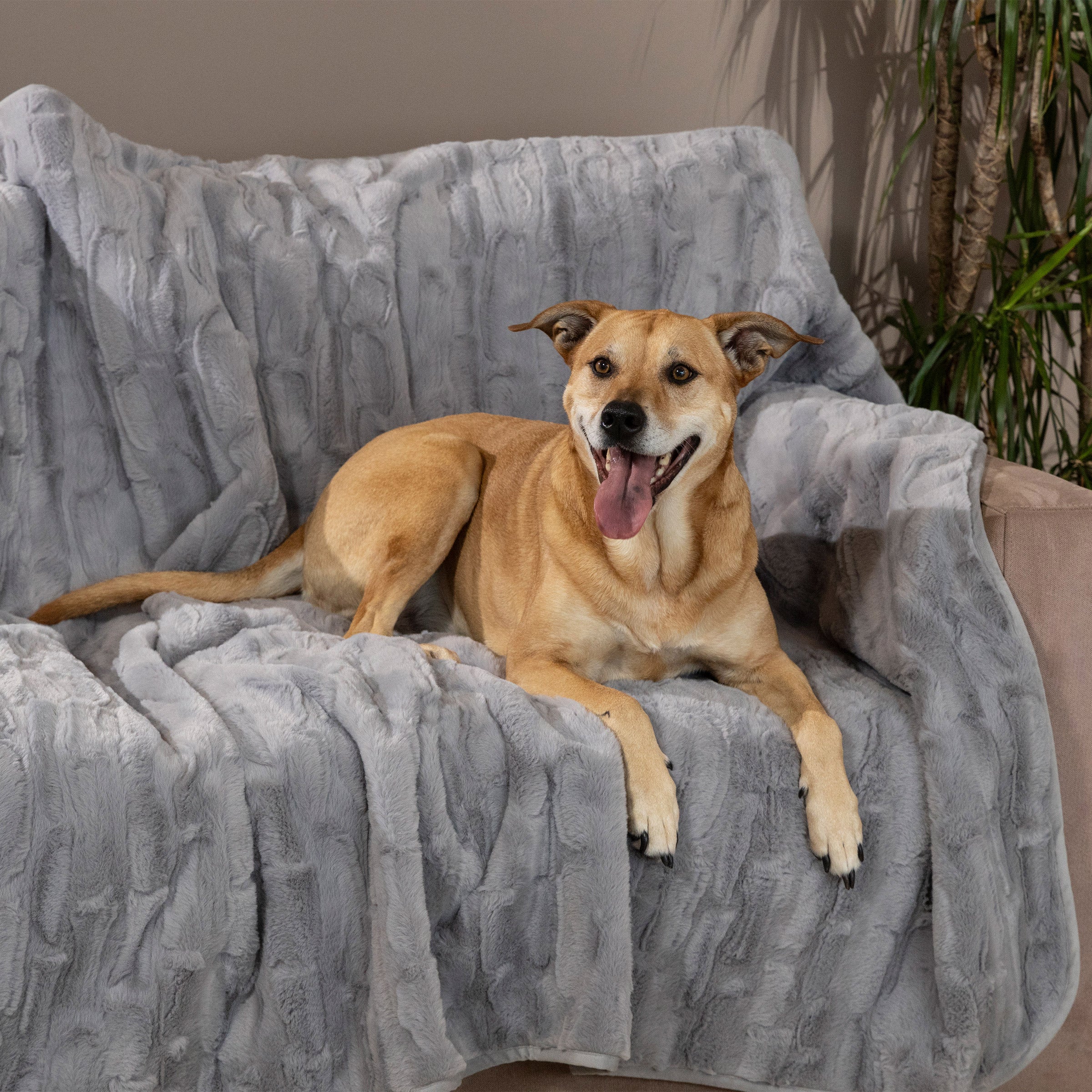 BRENTWOOD WATERPROOF FAUX FUR PET THROW 60¨ X 70¨