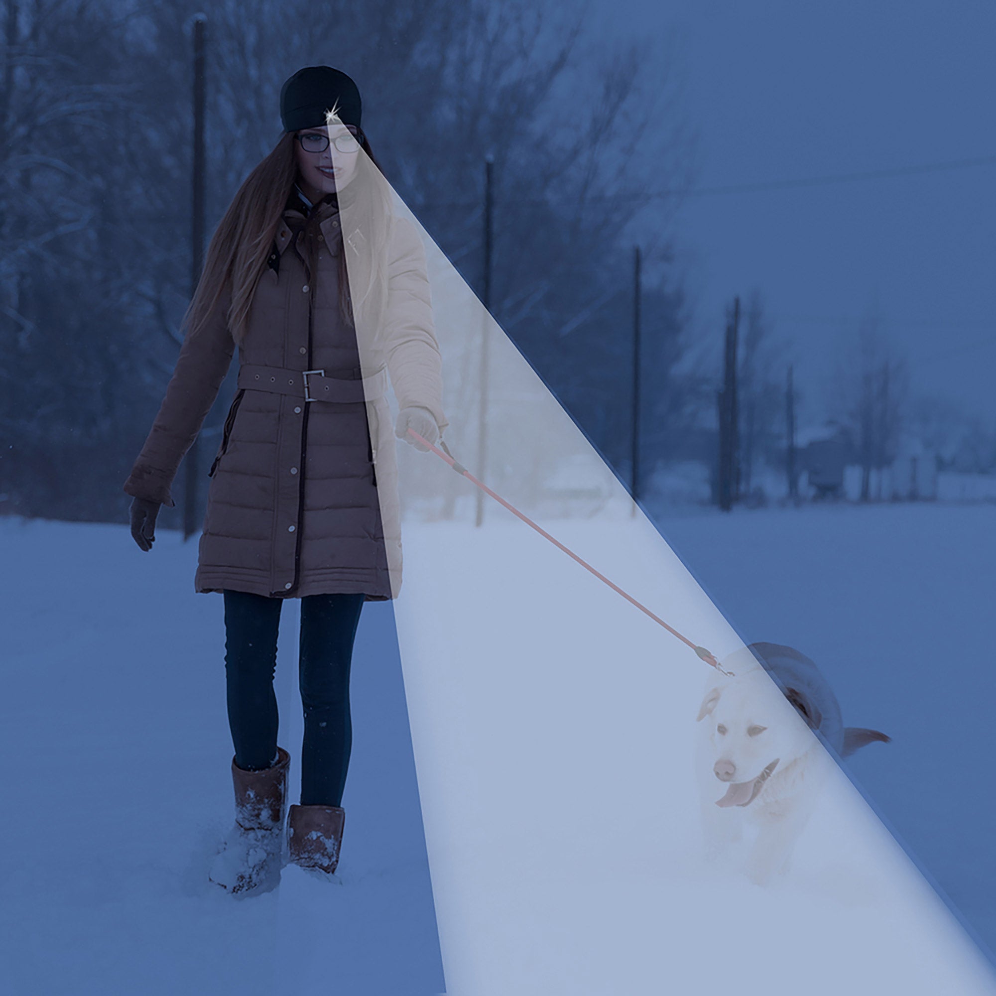 Thumbnail 15