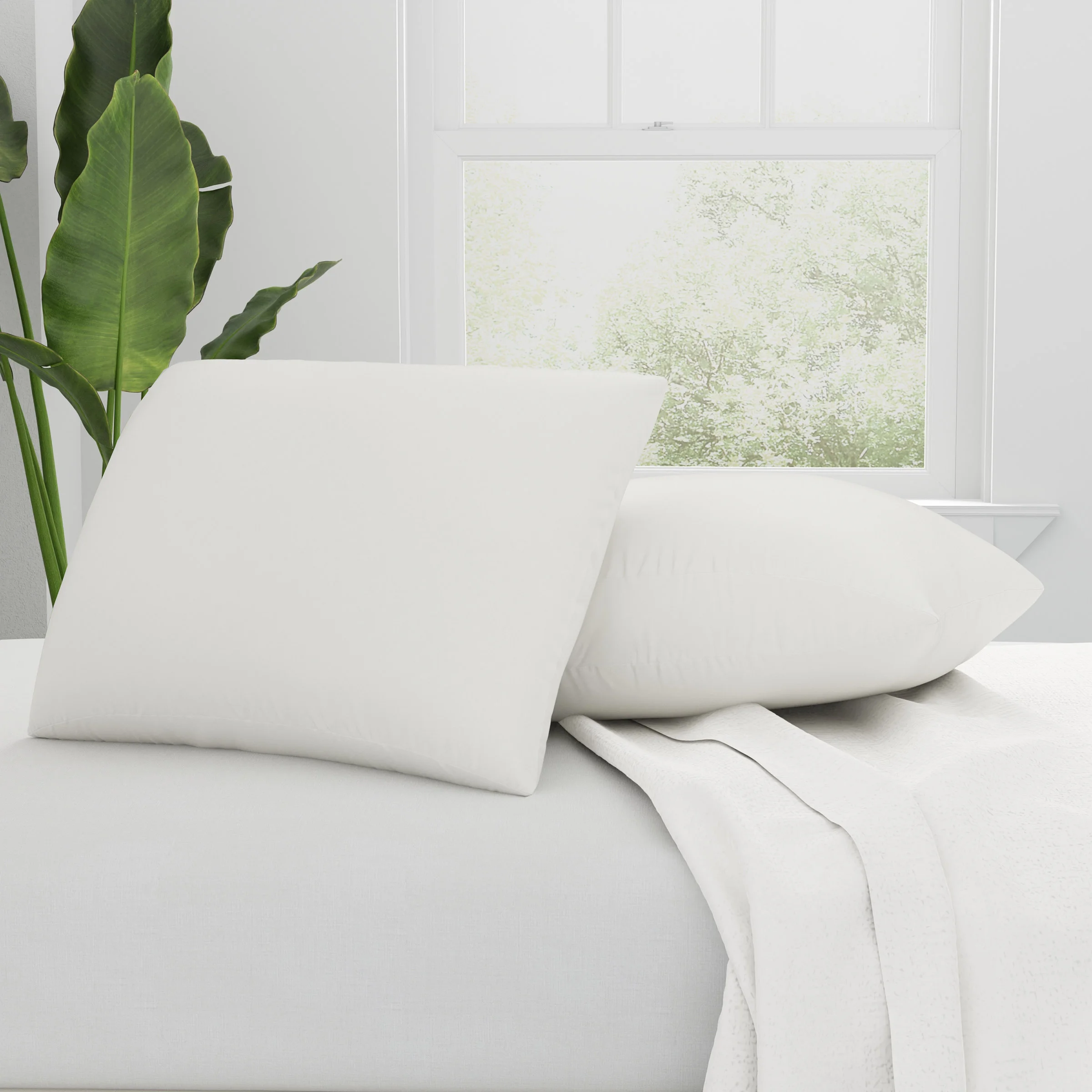 ALLEREASE NATURALS ORGANIC COTTON COVER PILLOW - JUMBO 2 PK