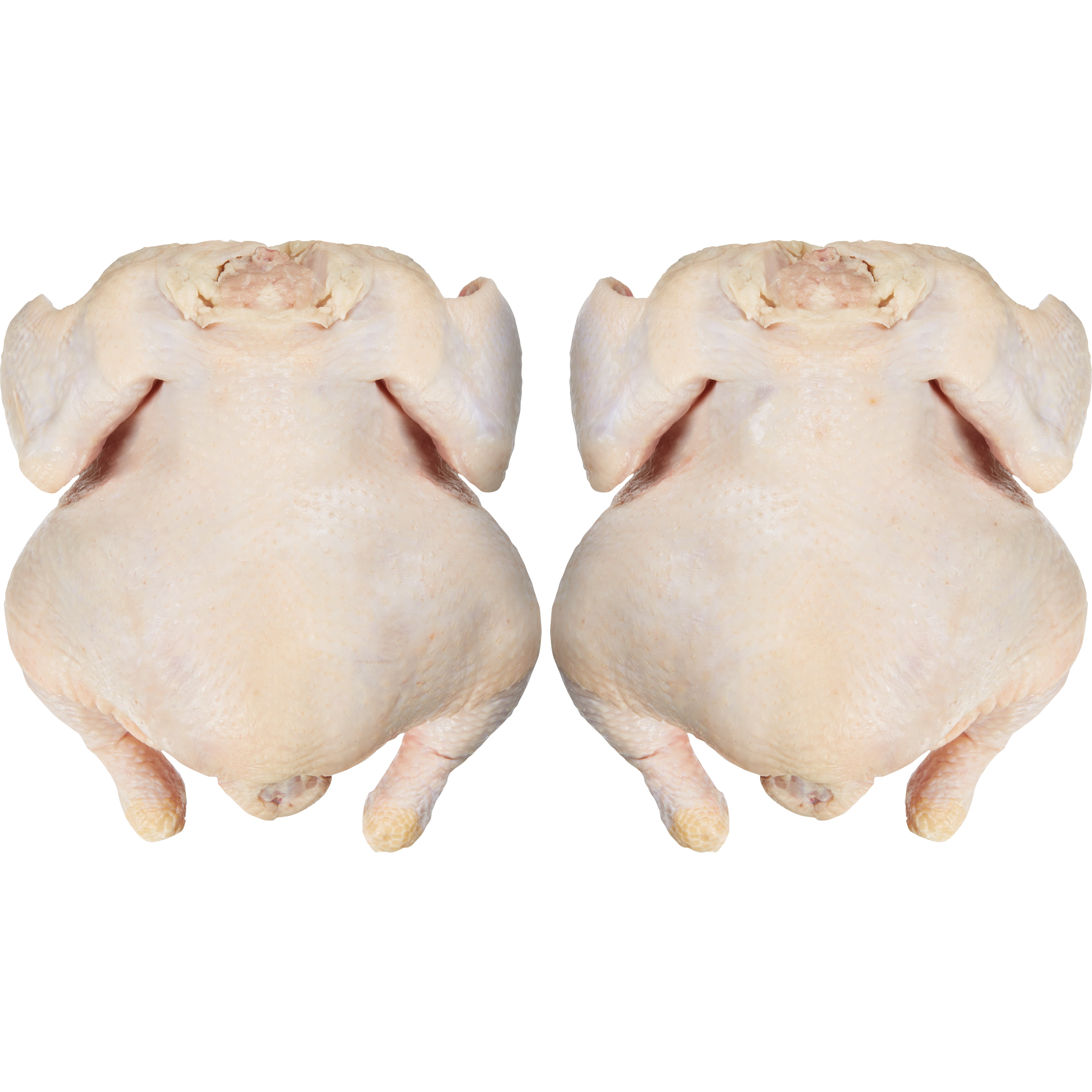 FRESH ORGANIC CHICKEN WHOLE BAGGED FRYERS PER LB - Image 1