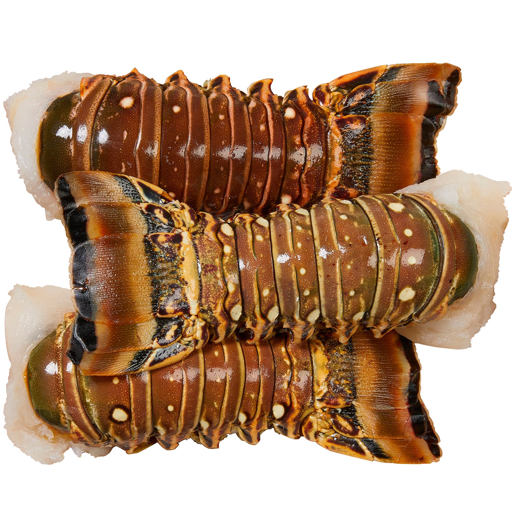 WILD WARM WATER LOBSTER TAIL PER LB.